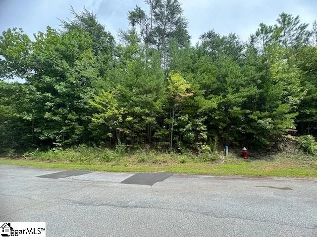 Property image 1 at 266 Jocassee Ridge Way, Salem, SC 29676