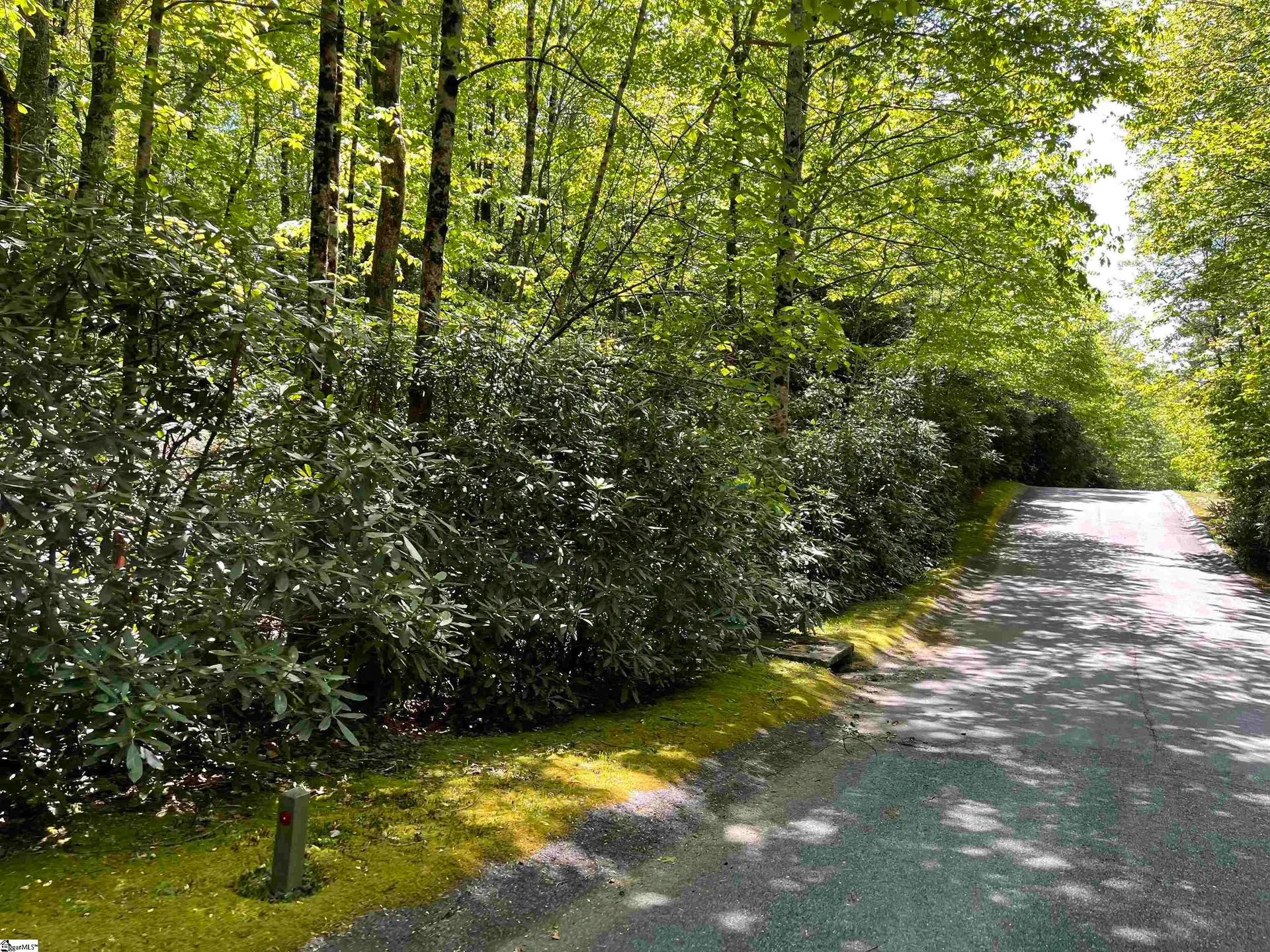 Property image 2 at 127 Conifer Falls Road, Cleveland, SC 29635