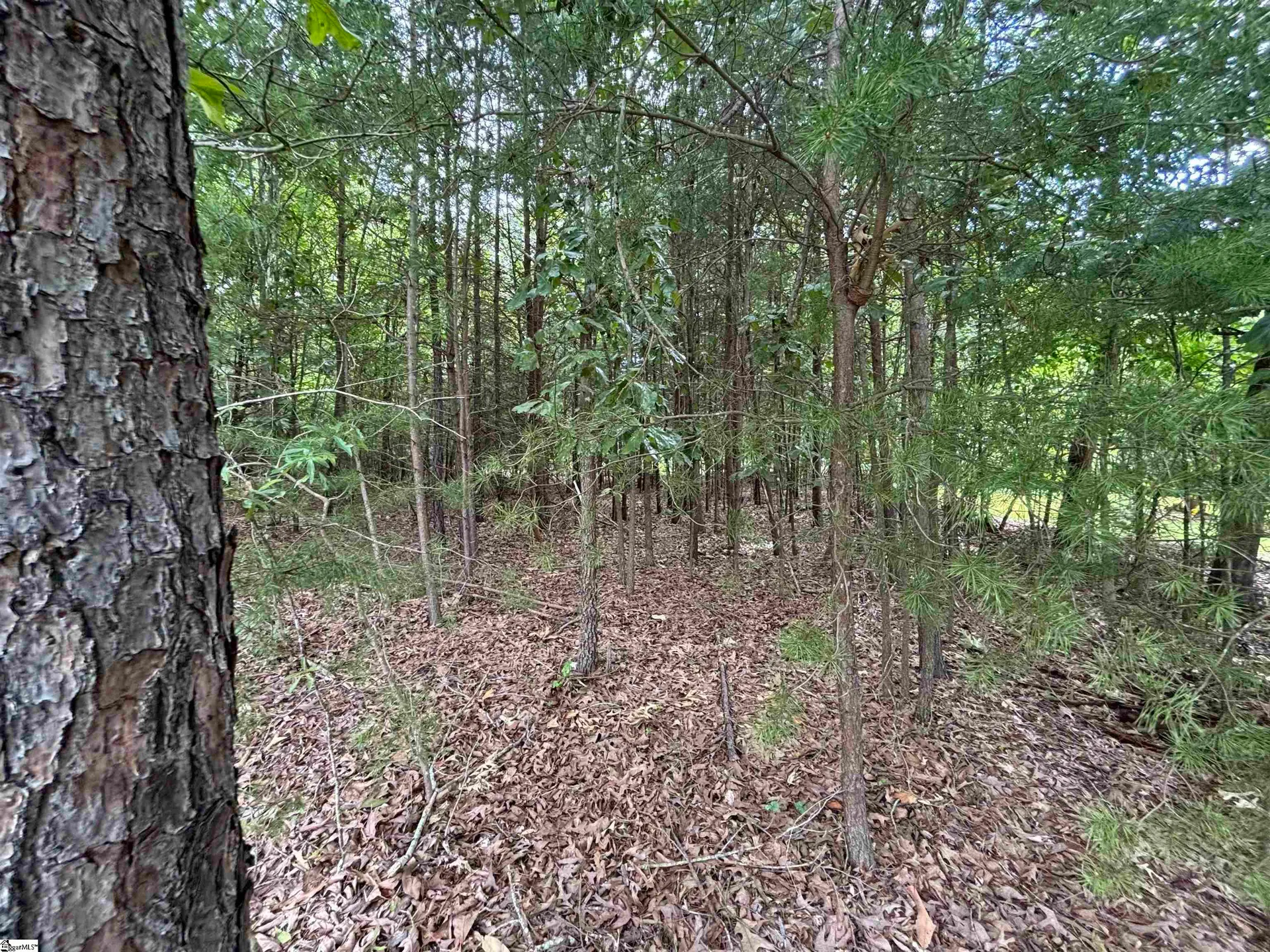 813 Chickasaw Point