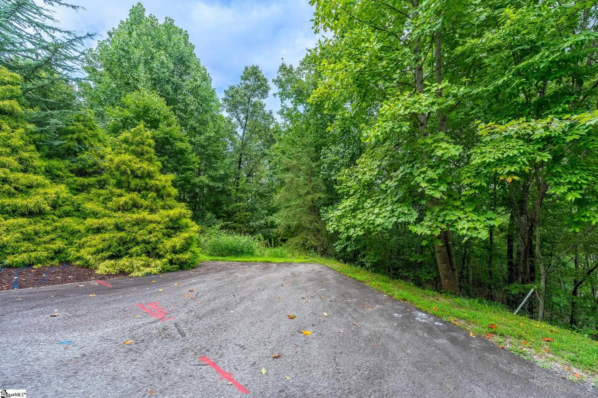 Property image 2 at 26 Crescent Pinyon Way, Marietta, SC 29661