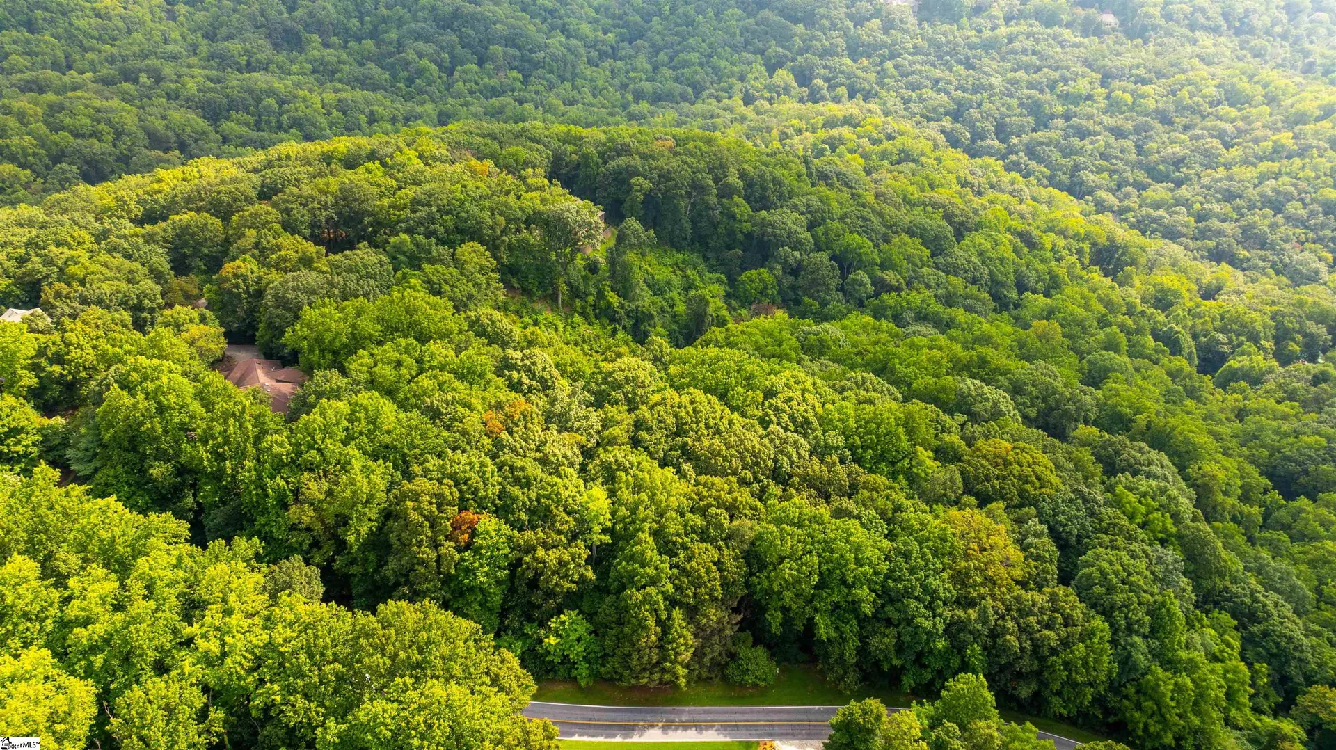 Property image 3 at 0 Plumley Summit Road, Landrum, SC 29356
