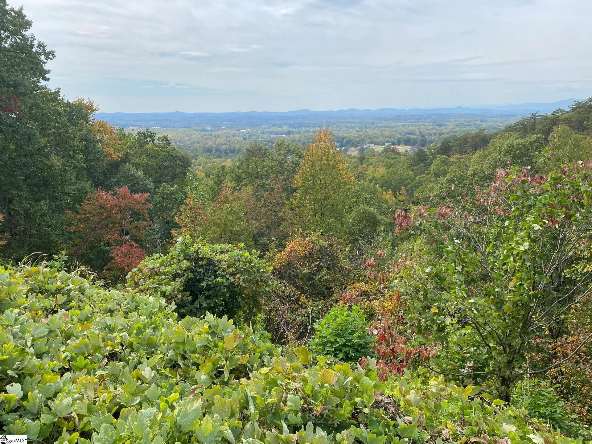Property image 4 at 0 Laurel Ridge Road, Greenville, SC 29609