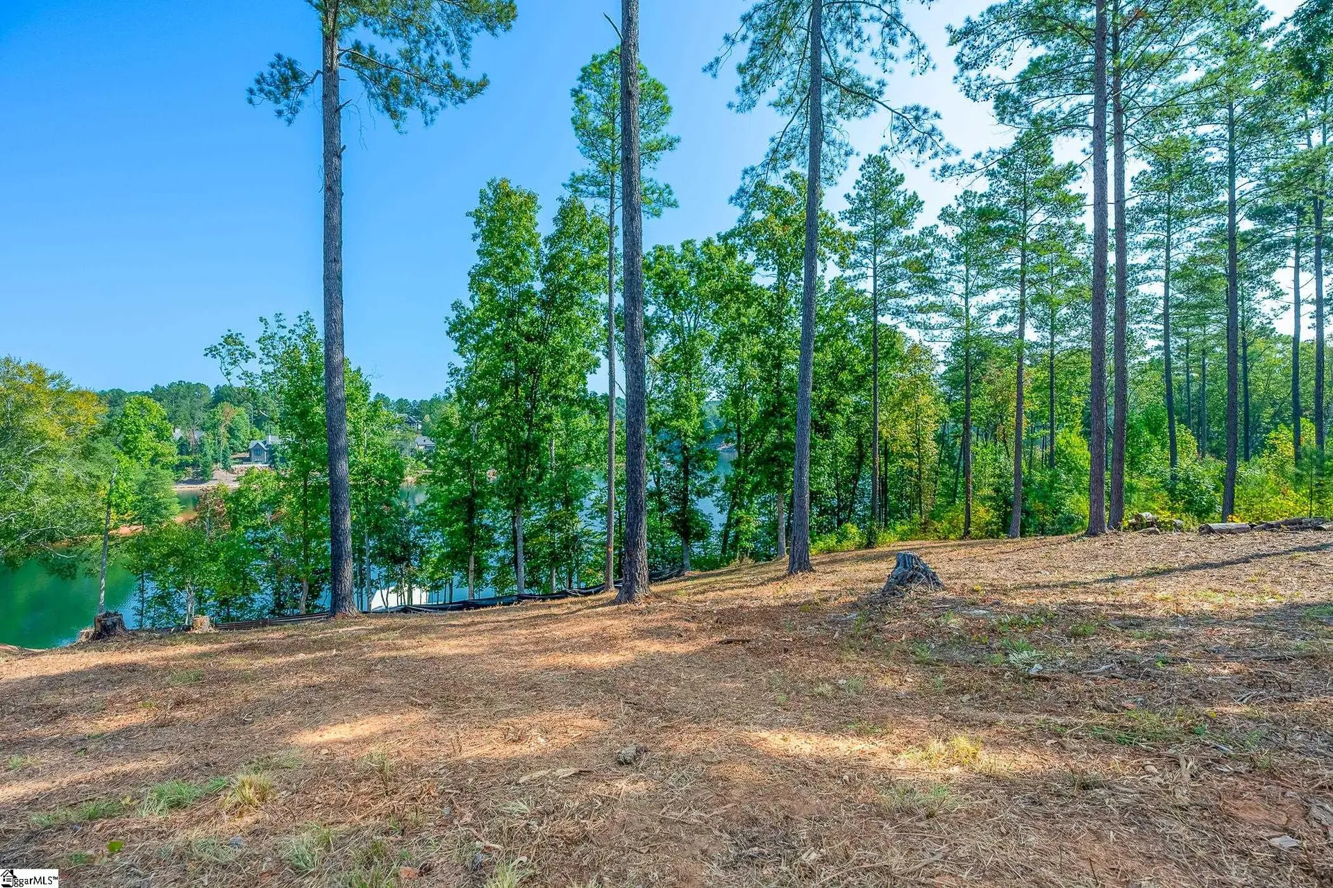 Property image 4 at 264 Coveside Lane, Six Mile, SC 29682