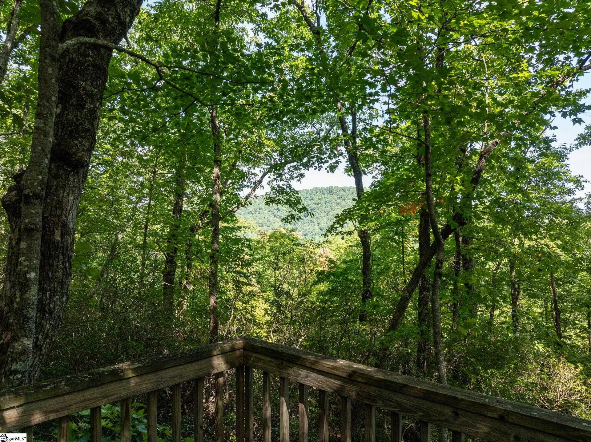 Property image 5 at 0 Panther Mountain Road, Zirconia, NC 28790