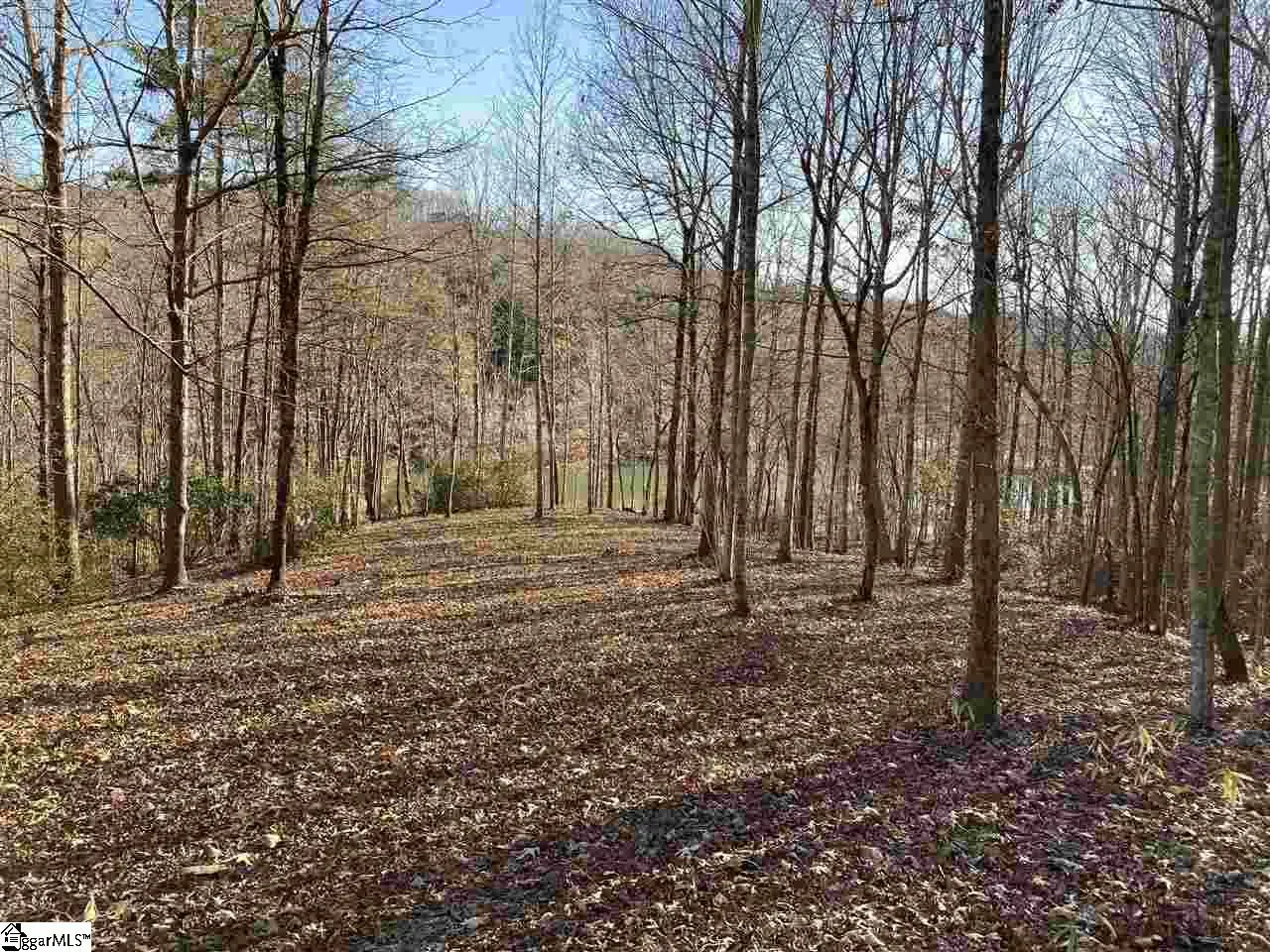 Purple Finch Way