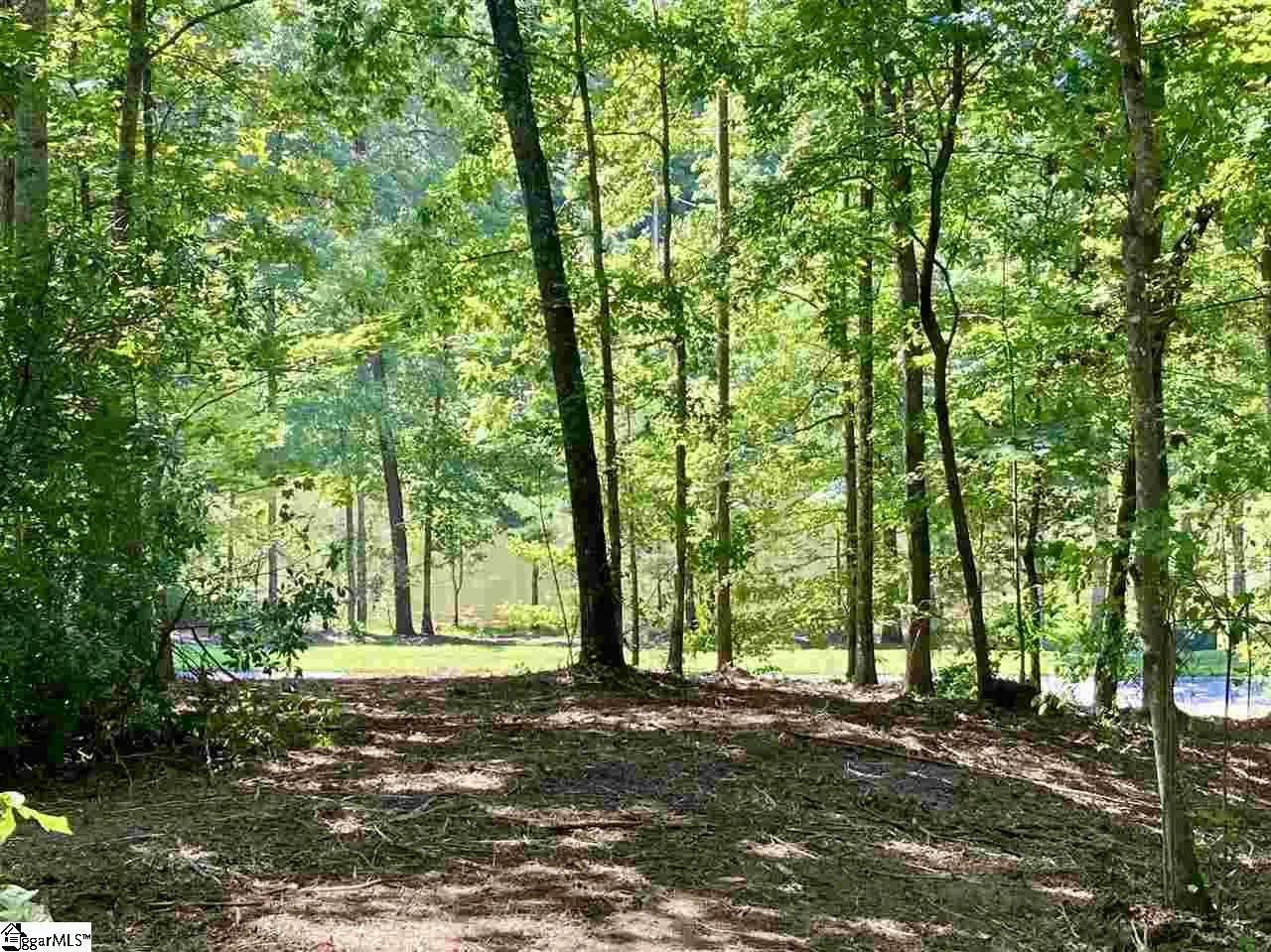 Property image 3 at Purple Finch Way, Marietta, SC 29661