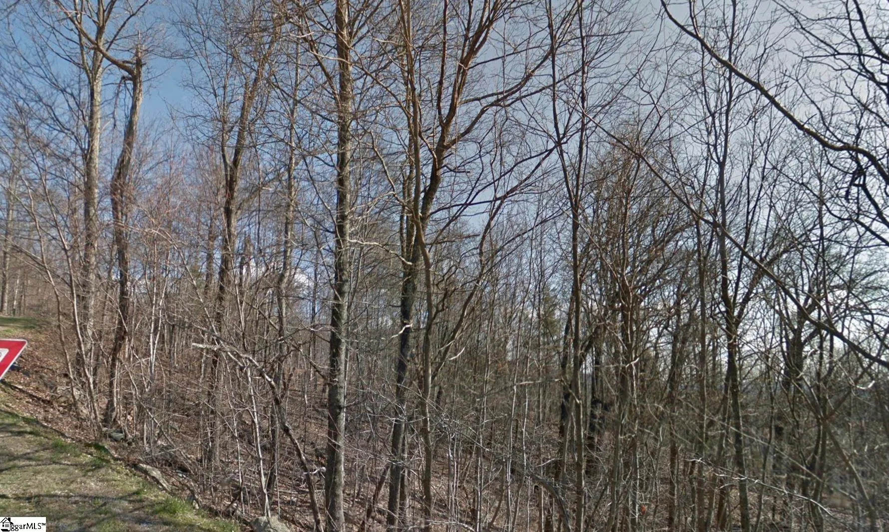 Property image 2 at 52 Foggy Cut Lane, Landrum, SC 29356