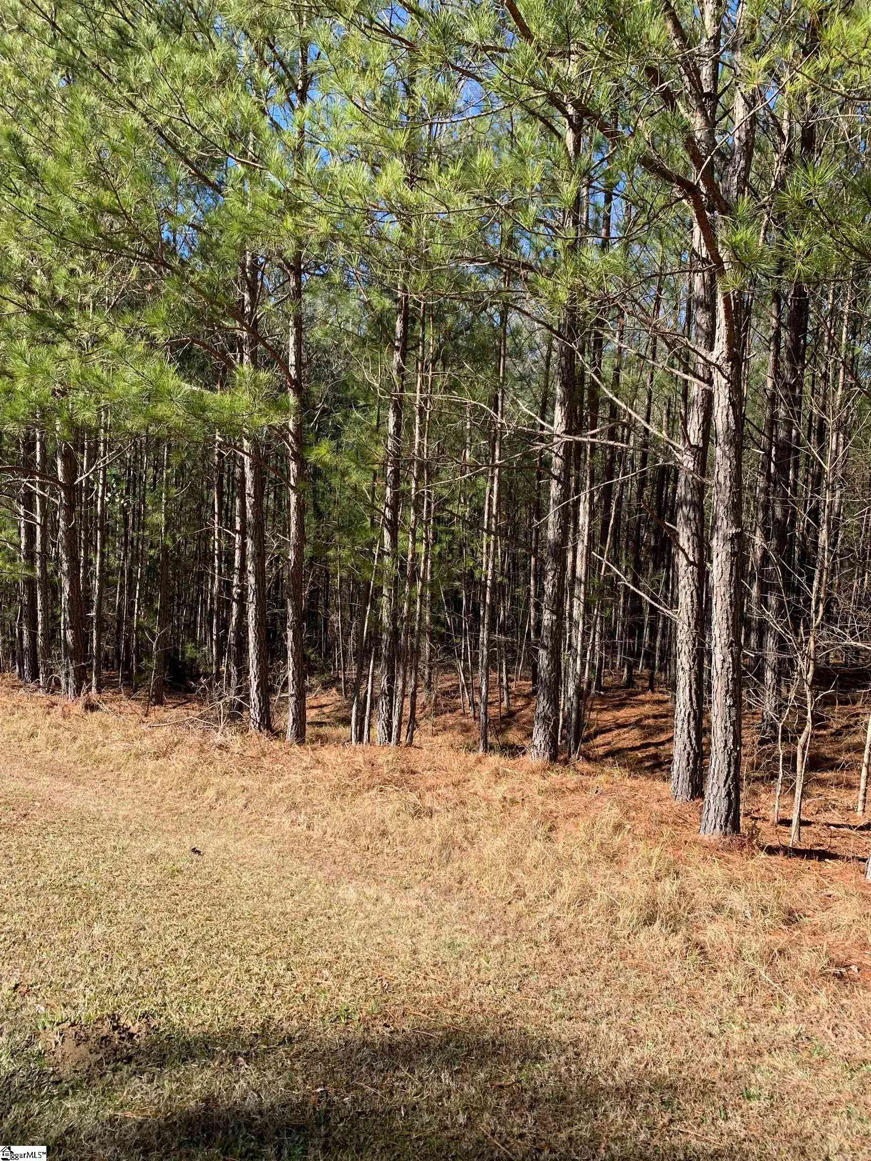 Property image 2 at 306 308 Watersedge Drive, Cross Hill, SC 29332
