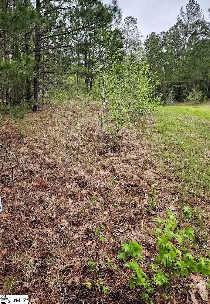 Property image 3 at 306 308 Watersedge Drive, Cross Hill, SC 29332