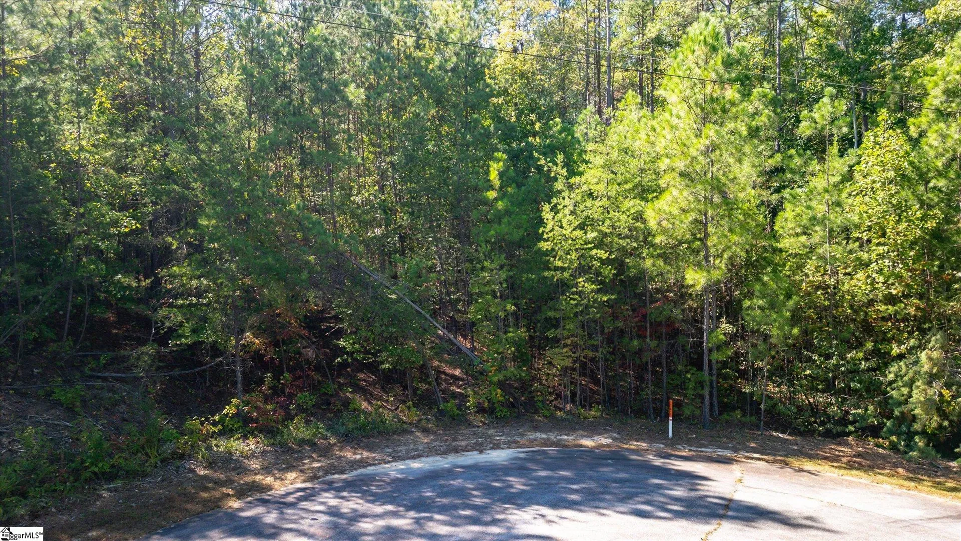Property image 4 at N34 Jocassee Ridge, Salem, SC 29676