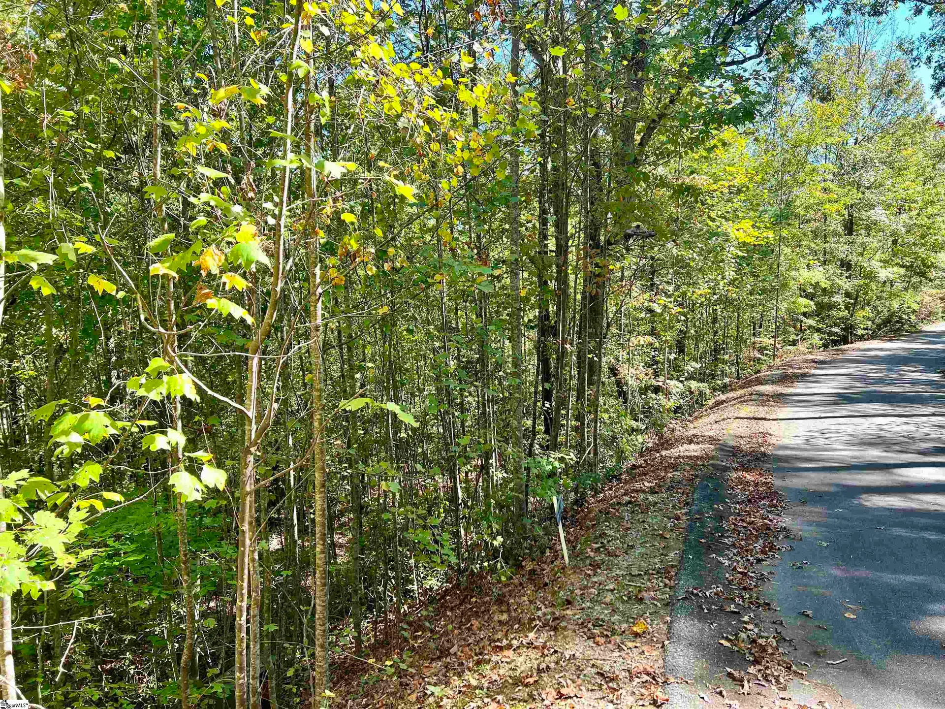 Property image 2 at 124 Falcon Crest Way, Pickens, SC 29671