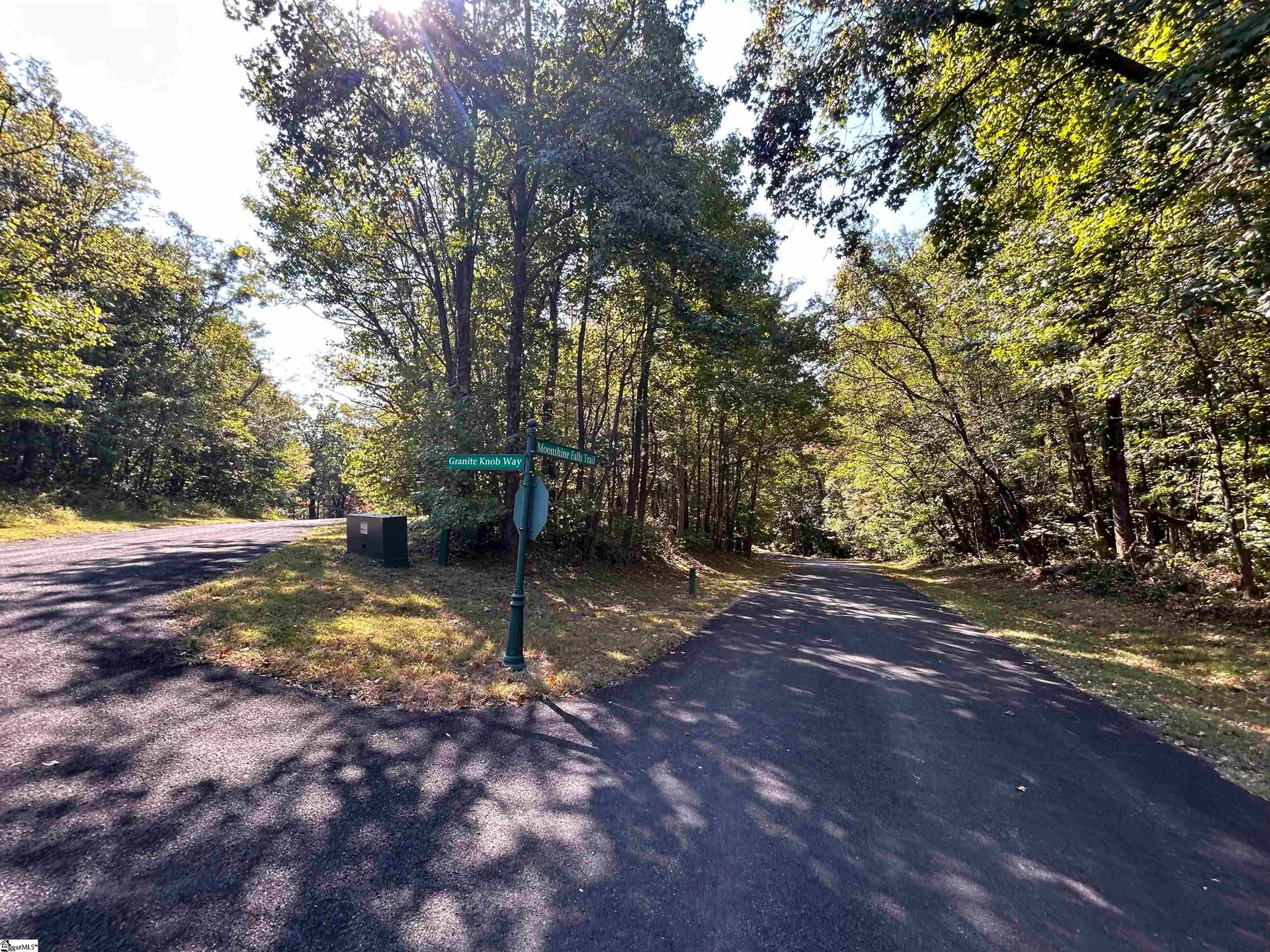 35 Moonshine Falls Trail