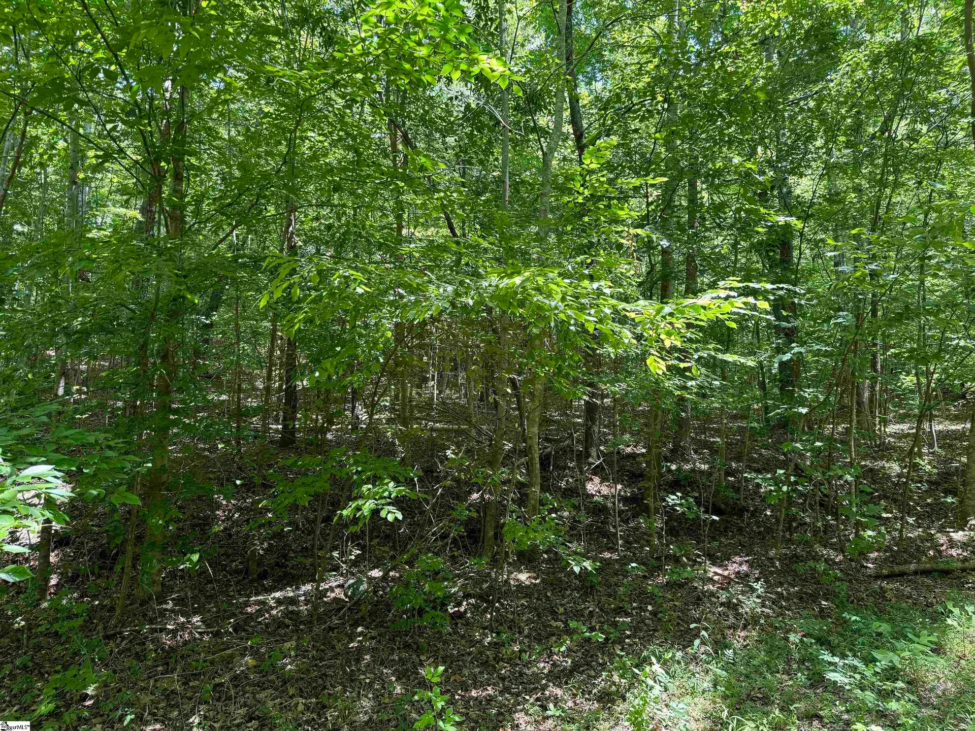 Property image 3 at 00 Glendlyon Drive, Landrum, SC 29356
