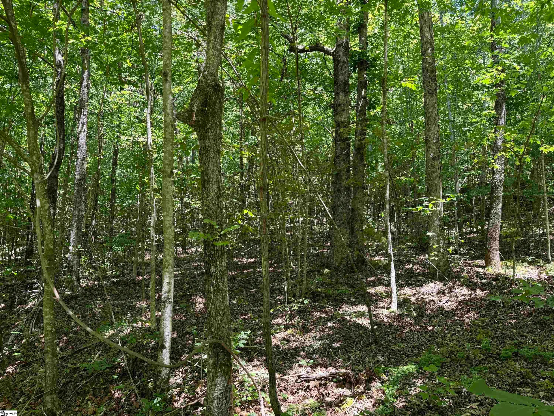 Property image 4 at 00 Glendlyon Drive, Landrum, SC 29356