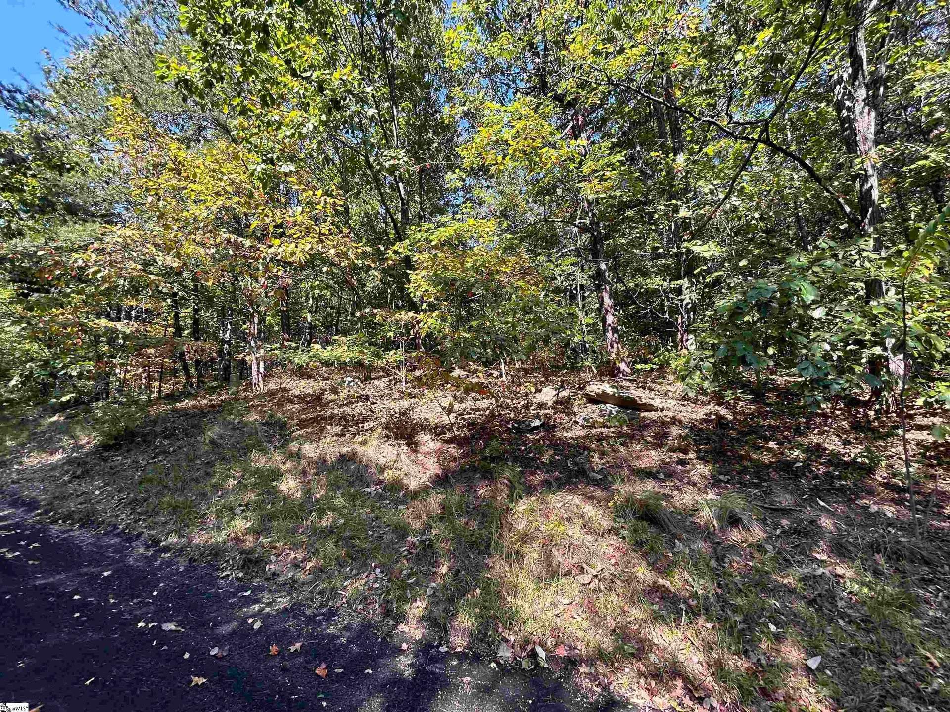 Property image 2 at 12 Granite Knob Way, Landrum, SC 29356