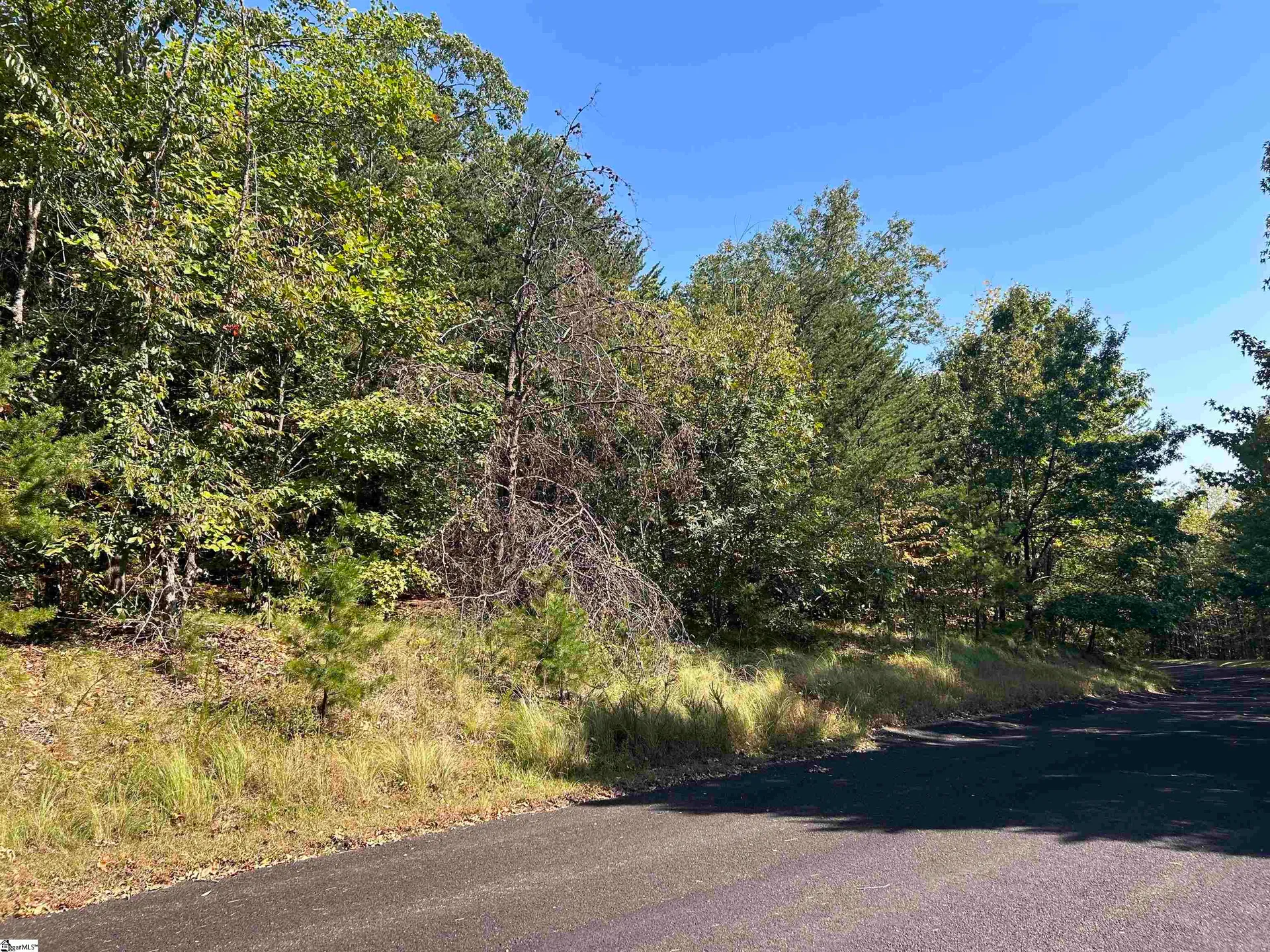 Property image 3 at 12 Granite Knob Way, Landrum, SC 29356