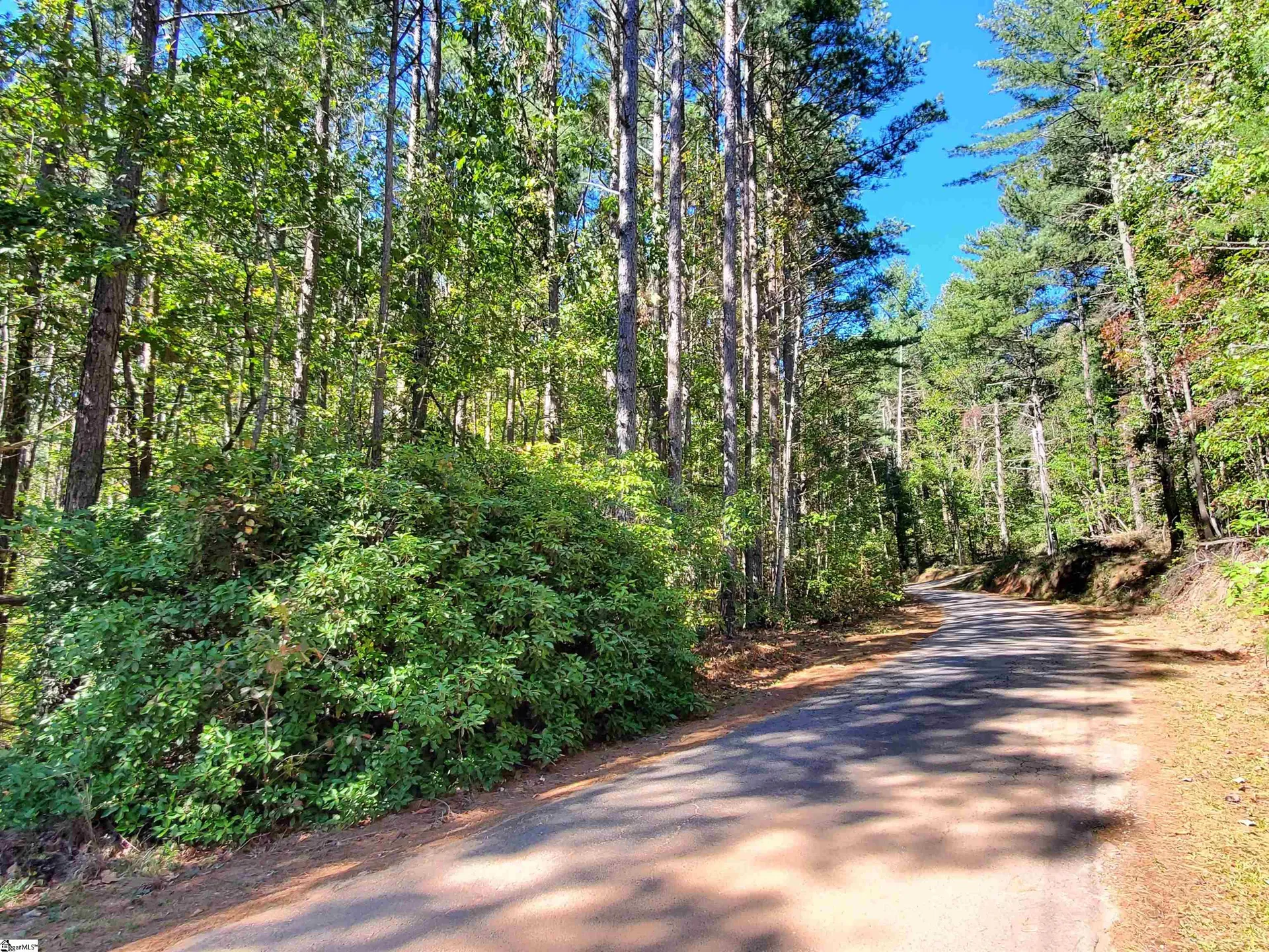 16 Belk Road
