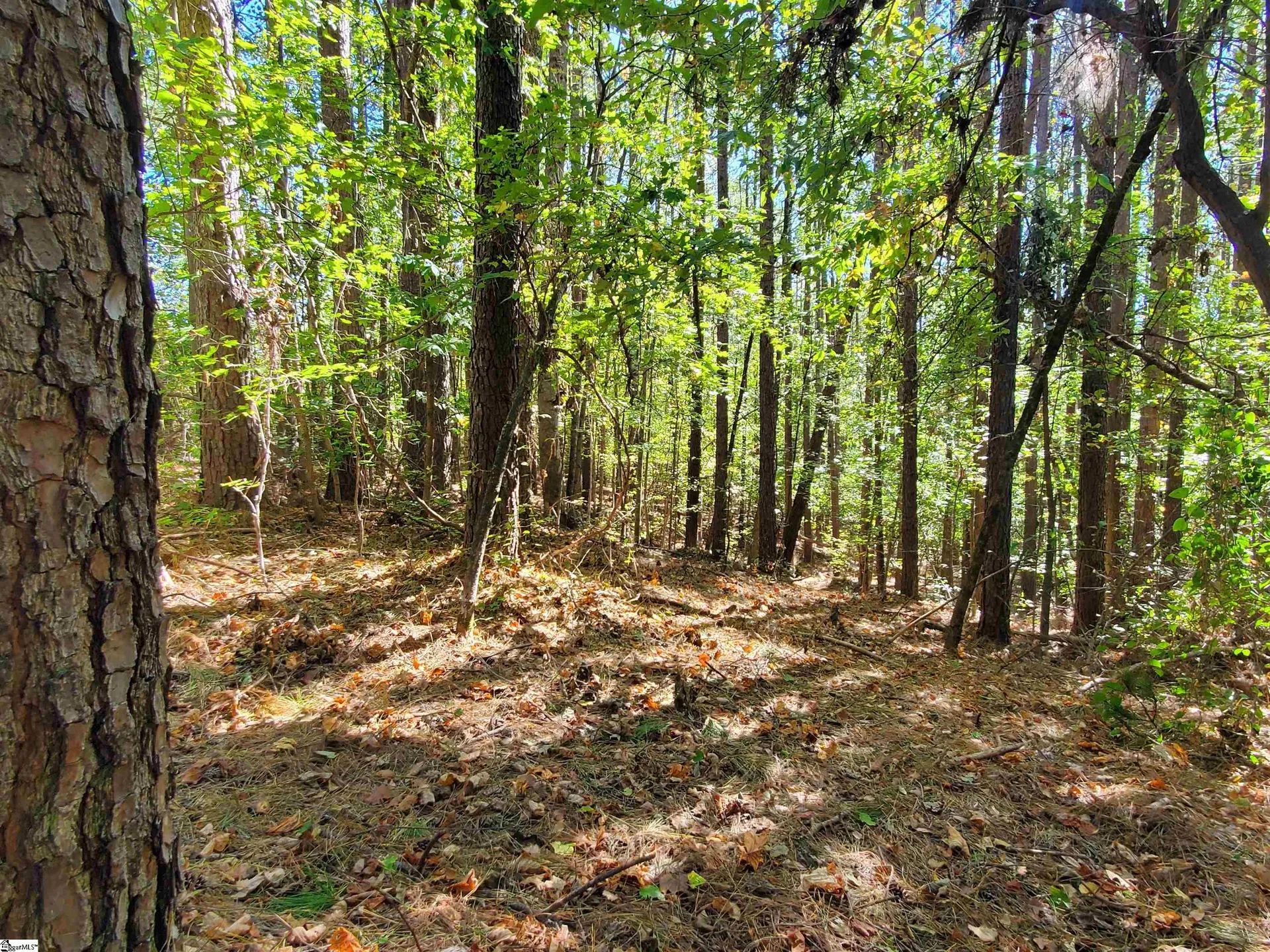Property image 2 at 16 Belk Road, Travelers Rest, SC 29690