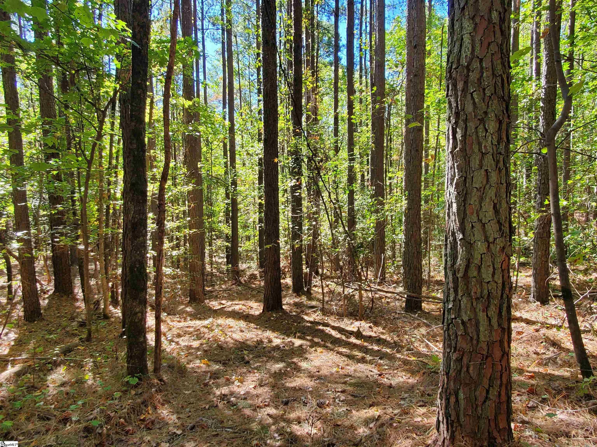 Property image 5 at 16 Belk Road, Travelers Rest, SC 29690
