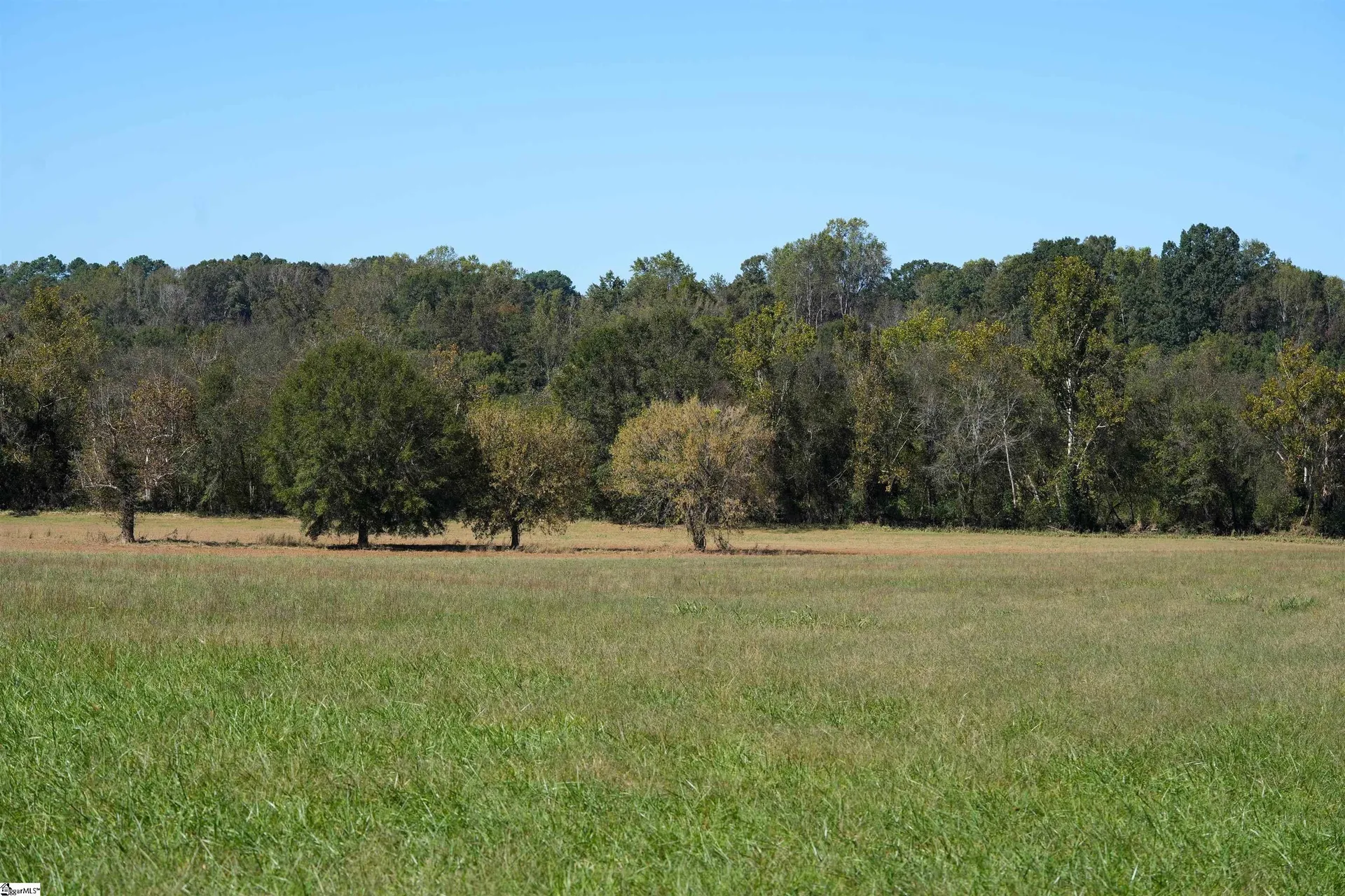 Property image 4 at 000 N Pacolet Road, Landrum, SC 29356