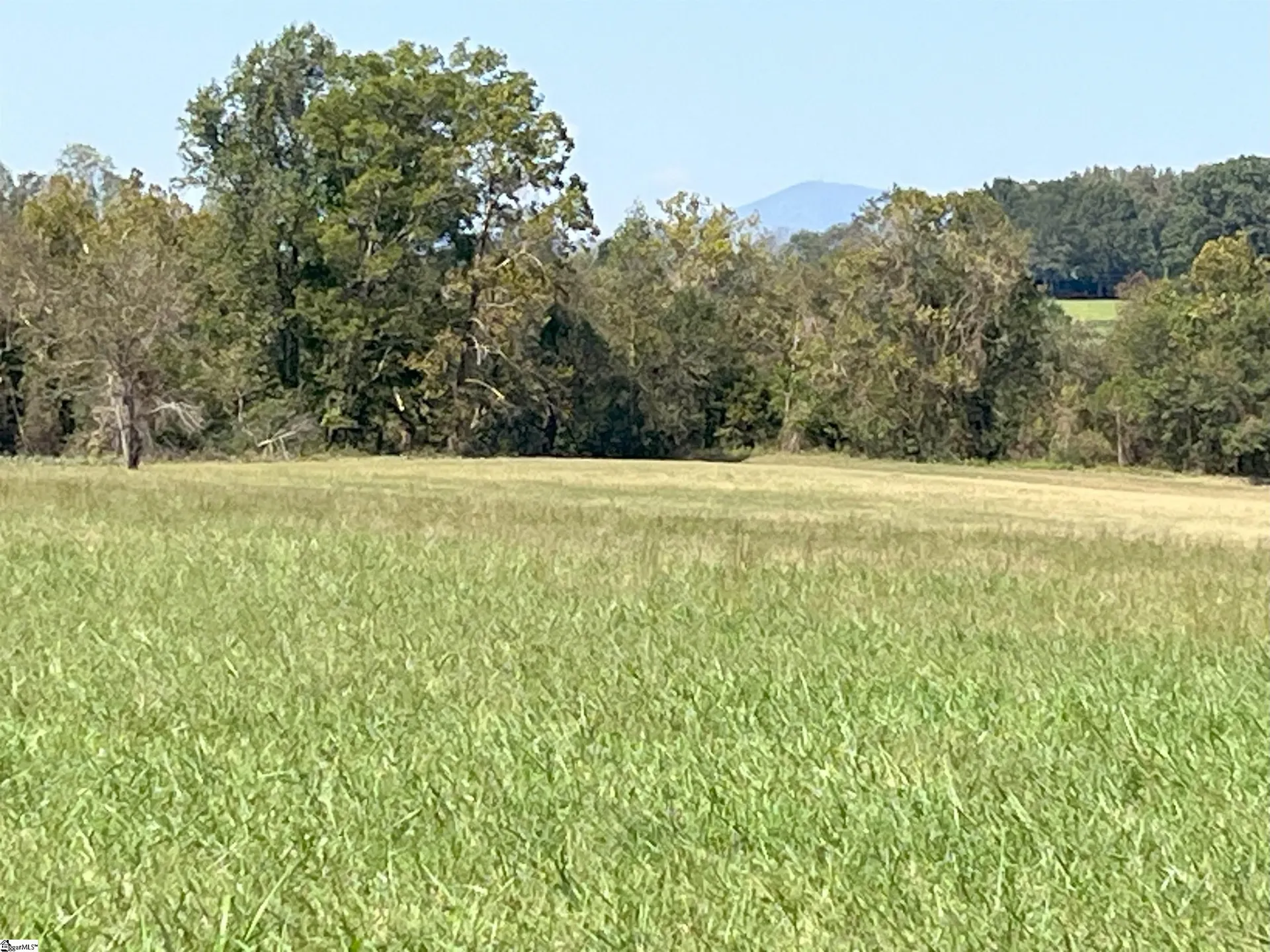 Property image 5 at 000 N Pacolet Road, Landrum, SC 29356