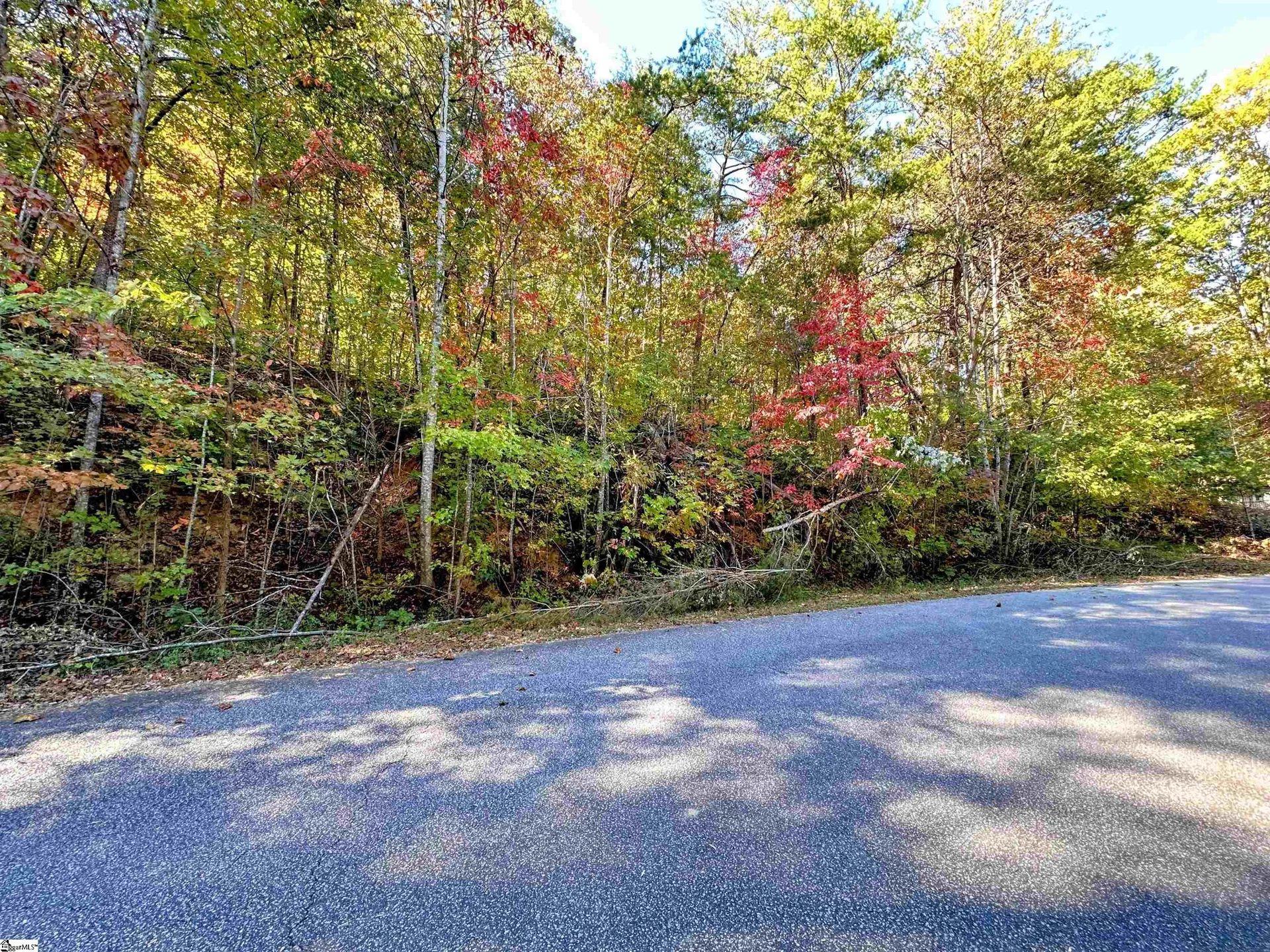 Property image 2 at 089 Forest Drive, Travelers Rest, SC 29690