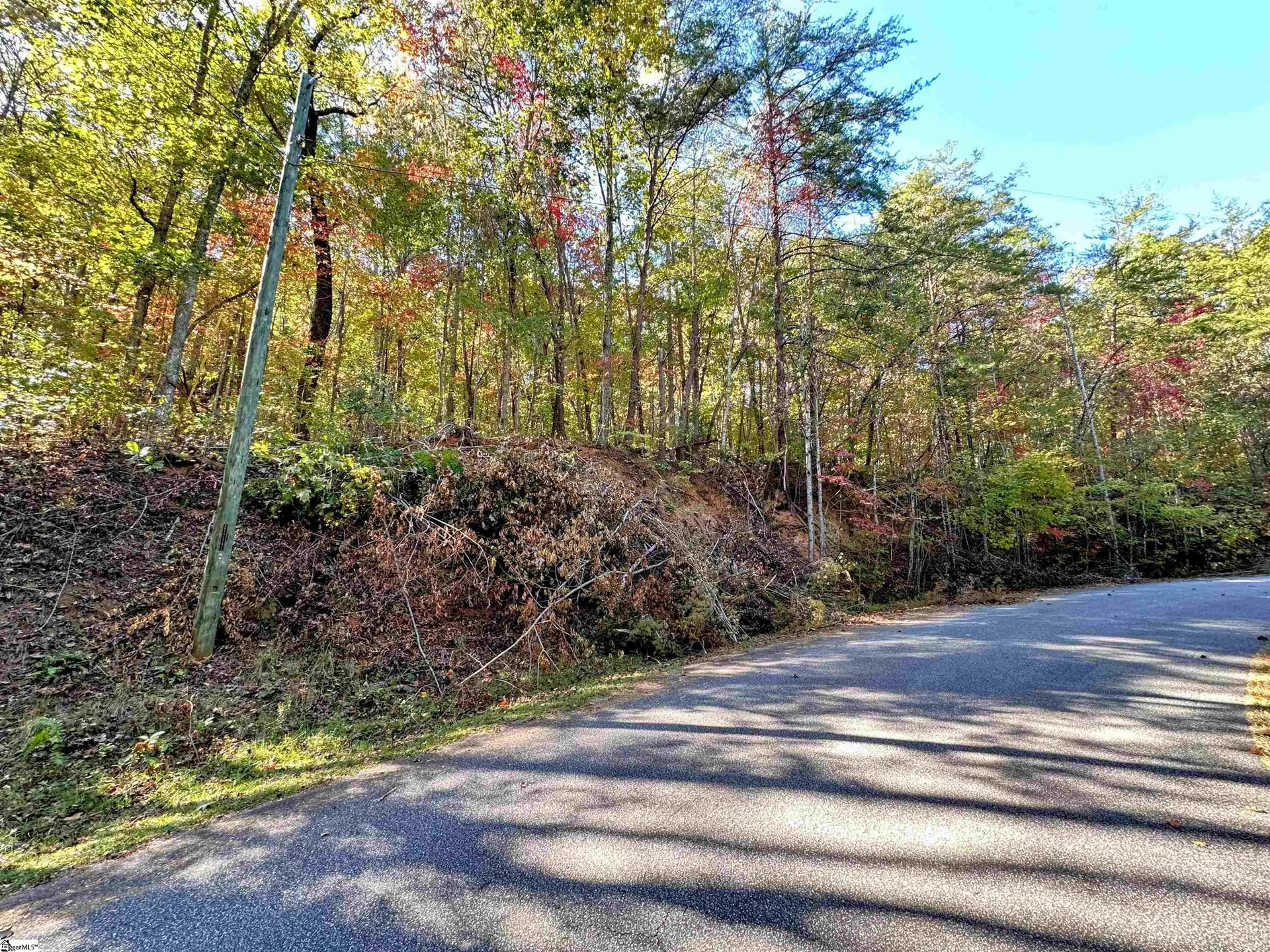 Property image 3 at 089 Forest Drive, Travelers Rest, SC 29690