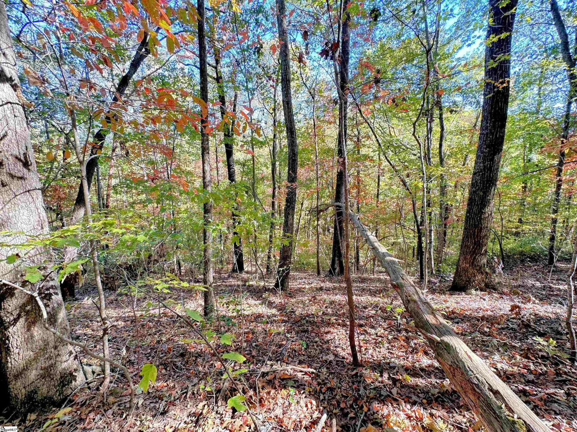 Property image 5 at 089 Forest Drive, Travelers Rest, SC 29690