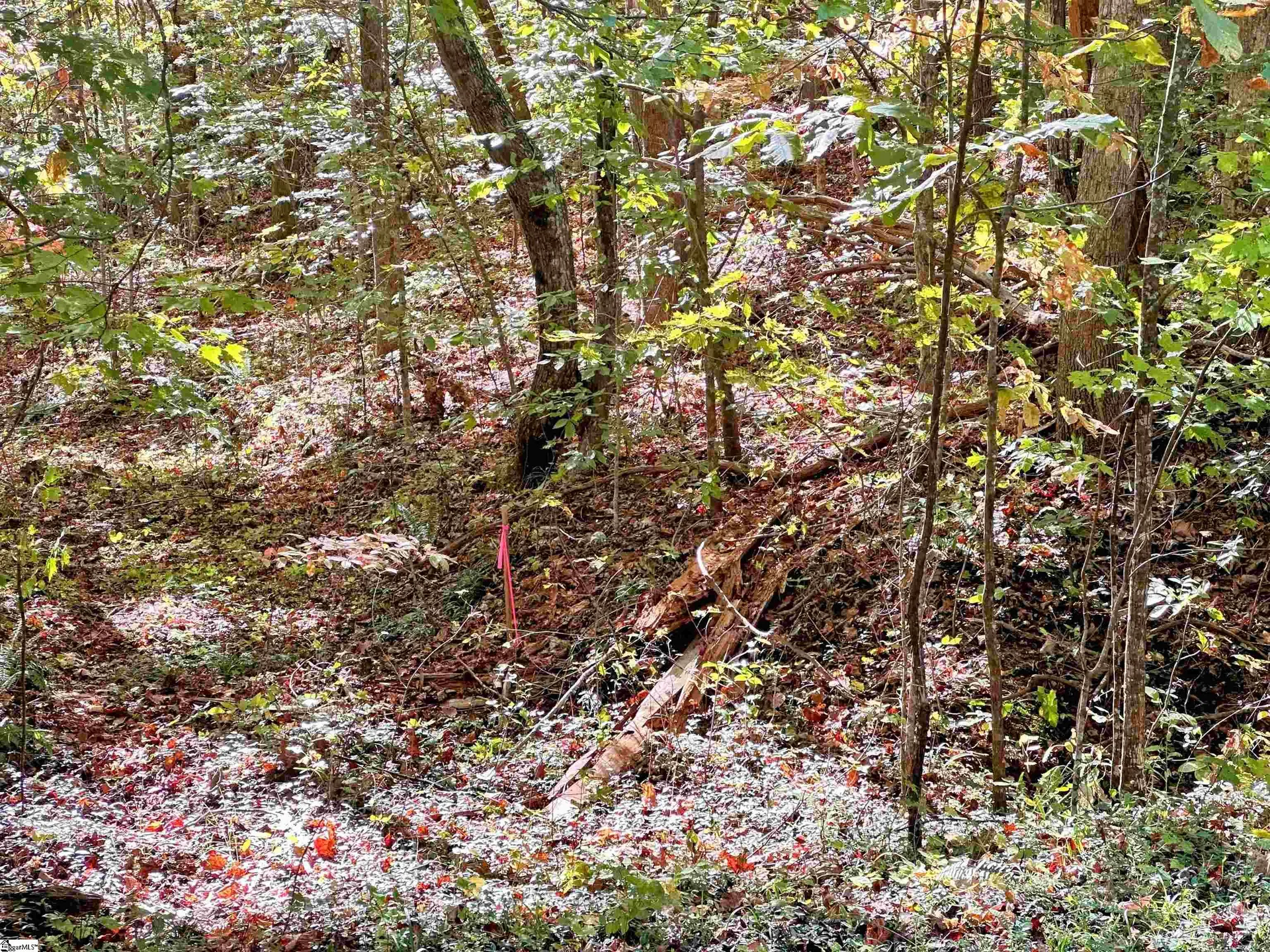 Property image 3 at 088 Forest Drive, Travelers Rest, SC 29690