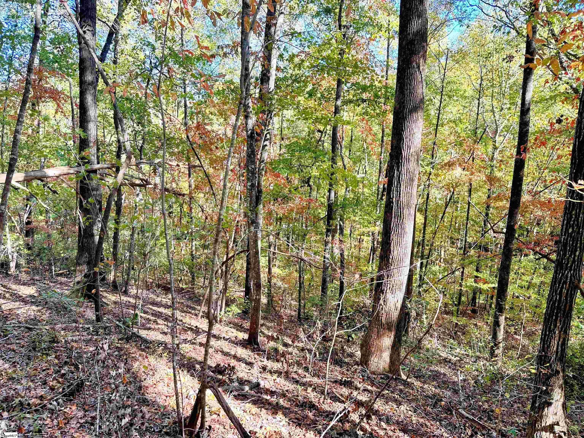 Property image 4 at 088 Forest Drive, Travelers Rest, SC 29690