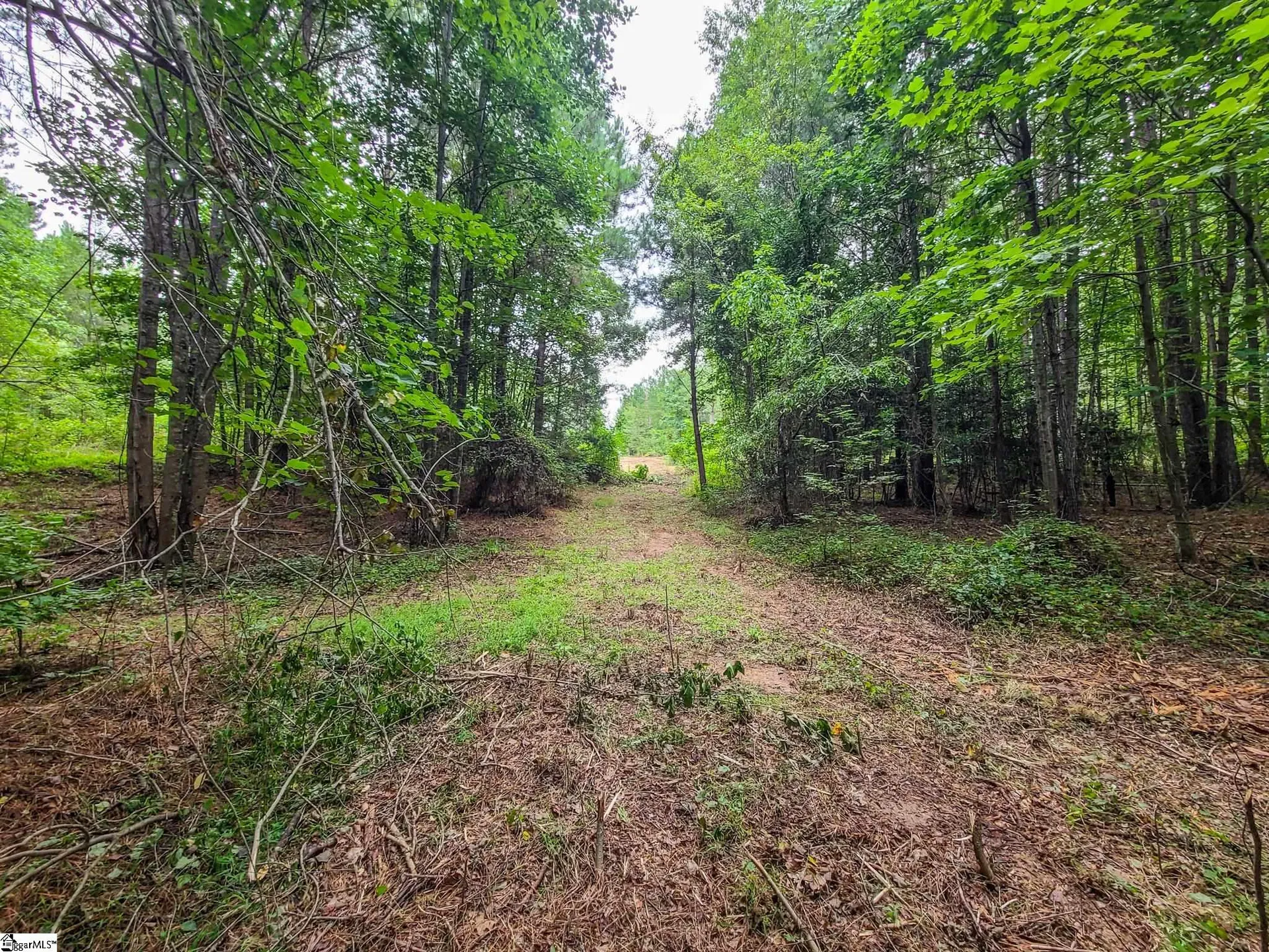Property image 4 at 0 Dunklin Bridge Road, Fountain Inn, SC 29644