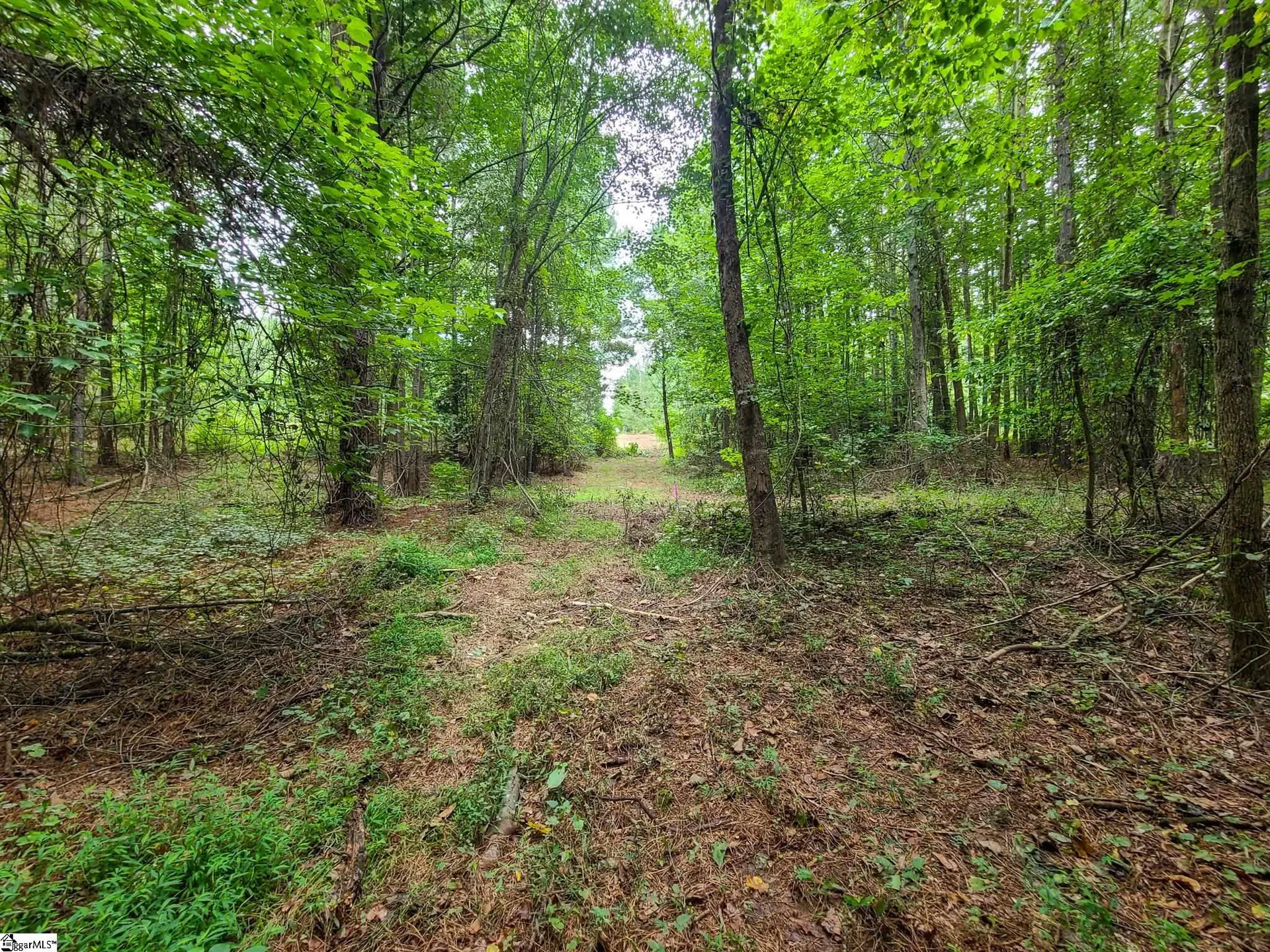 Property image 5 at 0 Dunklin Bridge Road, Fountain Inn, SC 29644