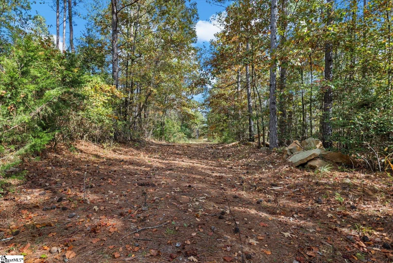 879 Dunklin Bridge Road