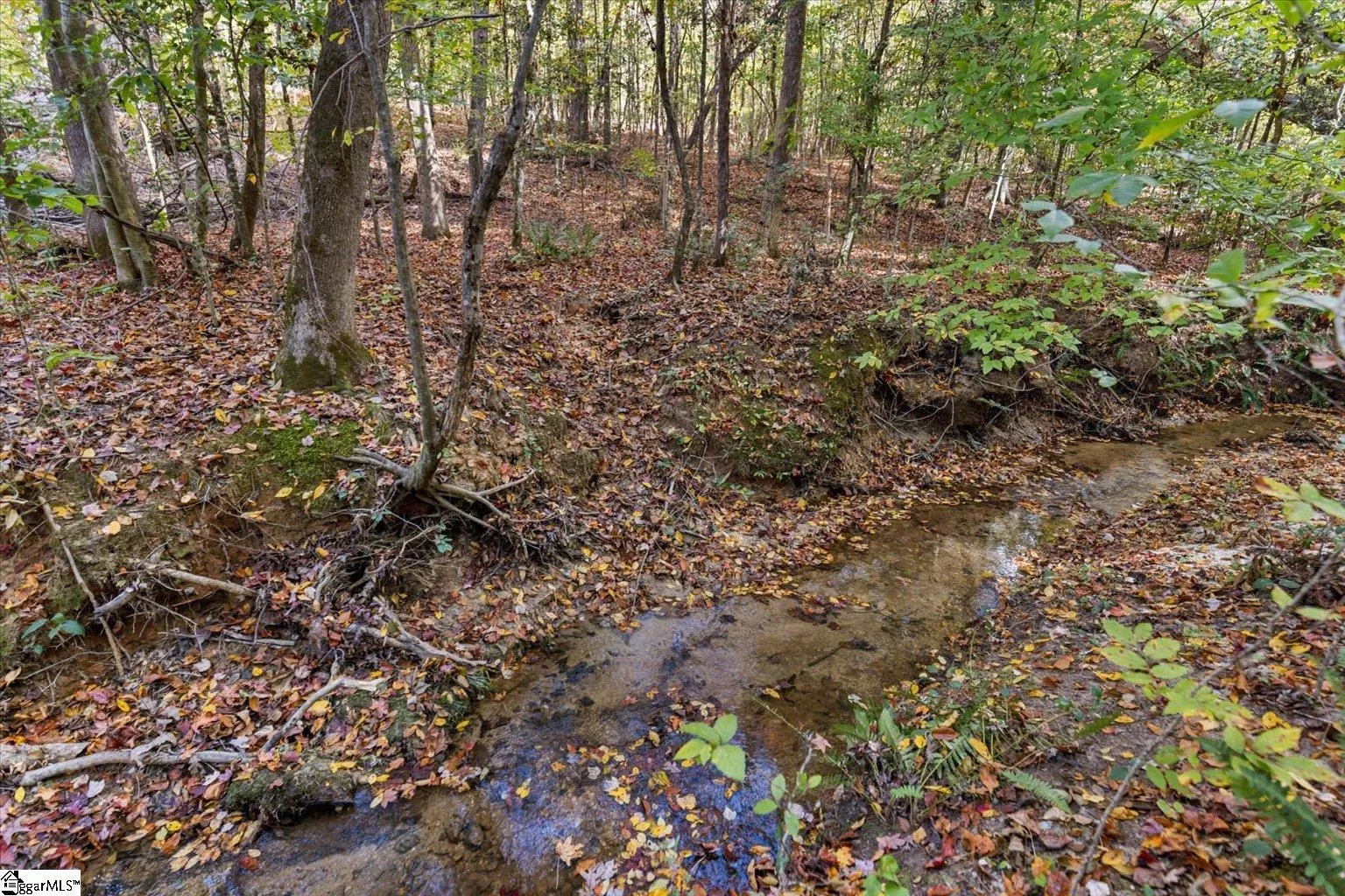 Property image 3 at 879 Dunklin Bridge Road, Fountain Inn, SC 29644