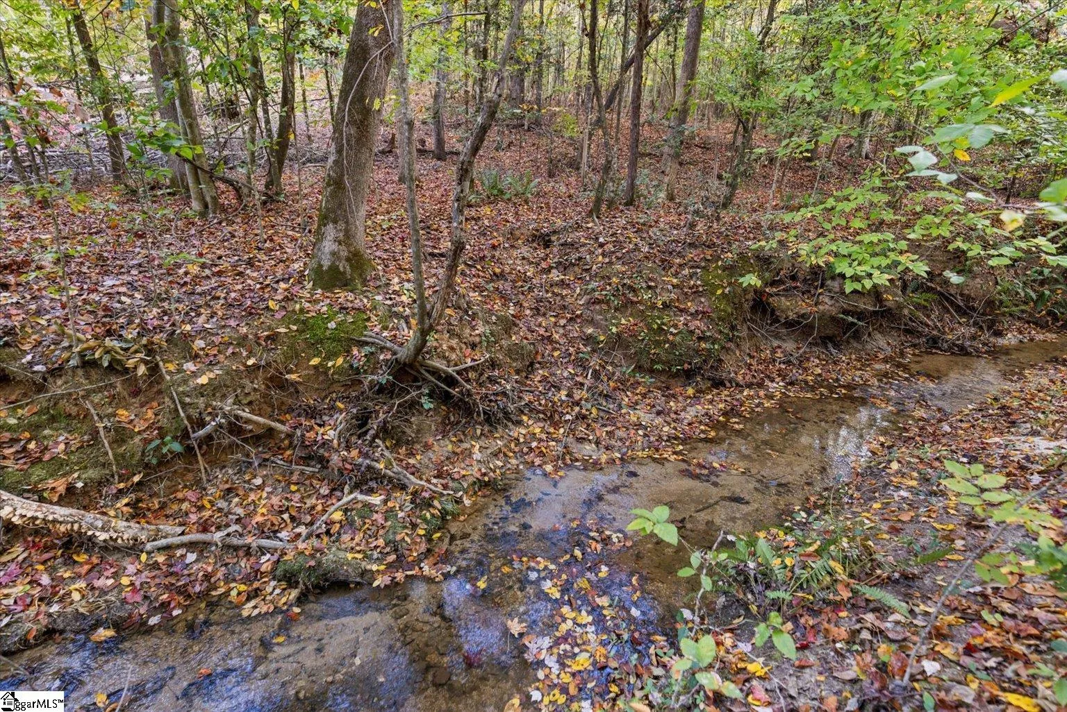 Property image 4 at 879 Dunklin Bridge Road, Fountain Inn, SC 29644