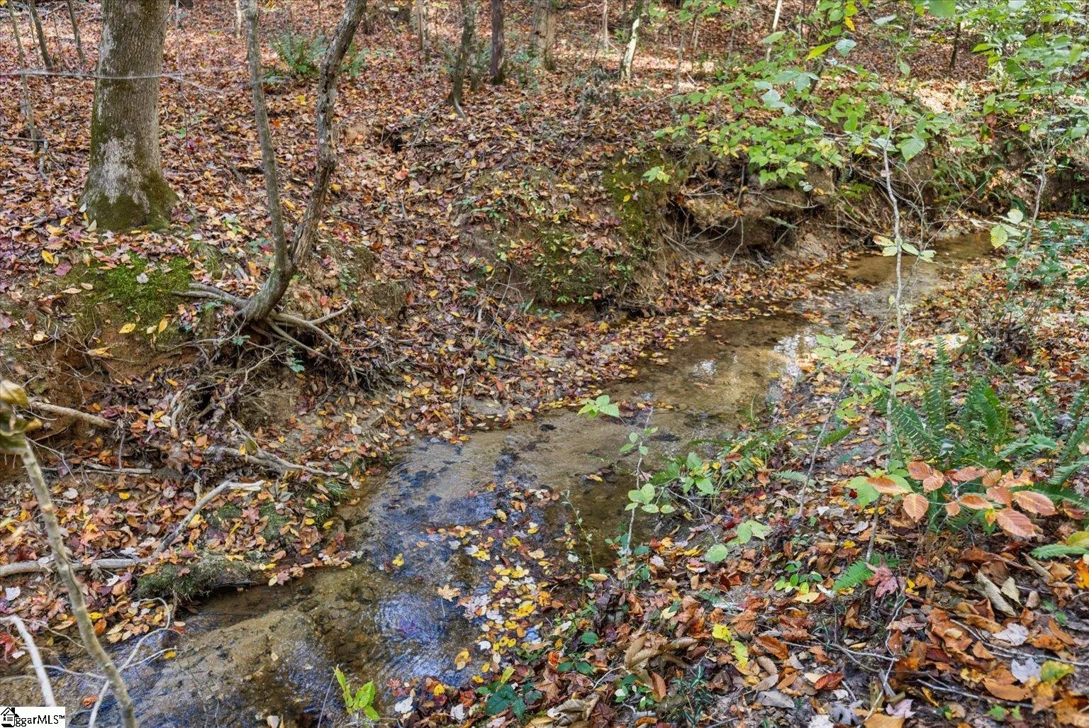 Property image 5 at 879 Dunklin Bridge Road, Fountain Inn, SC 29644