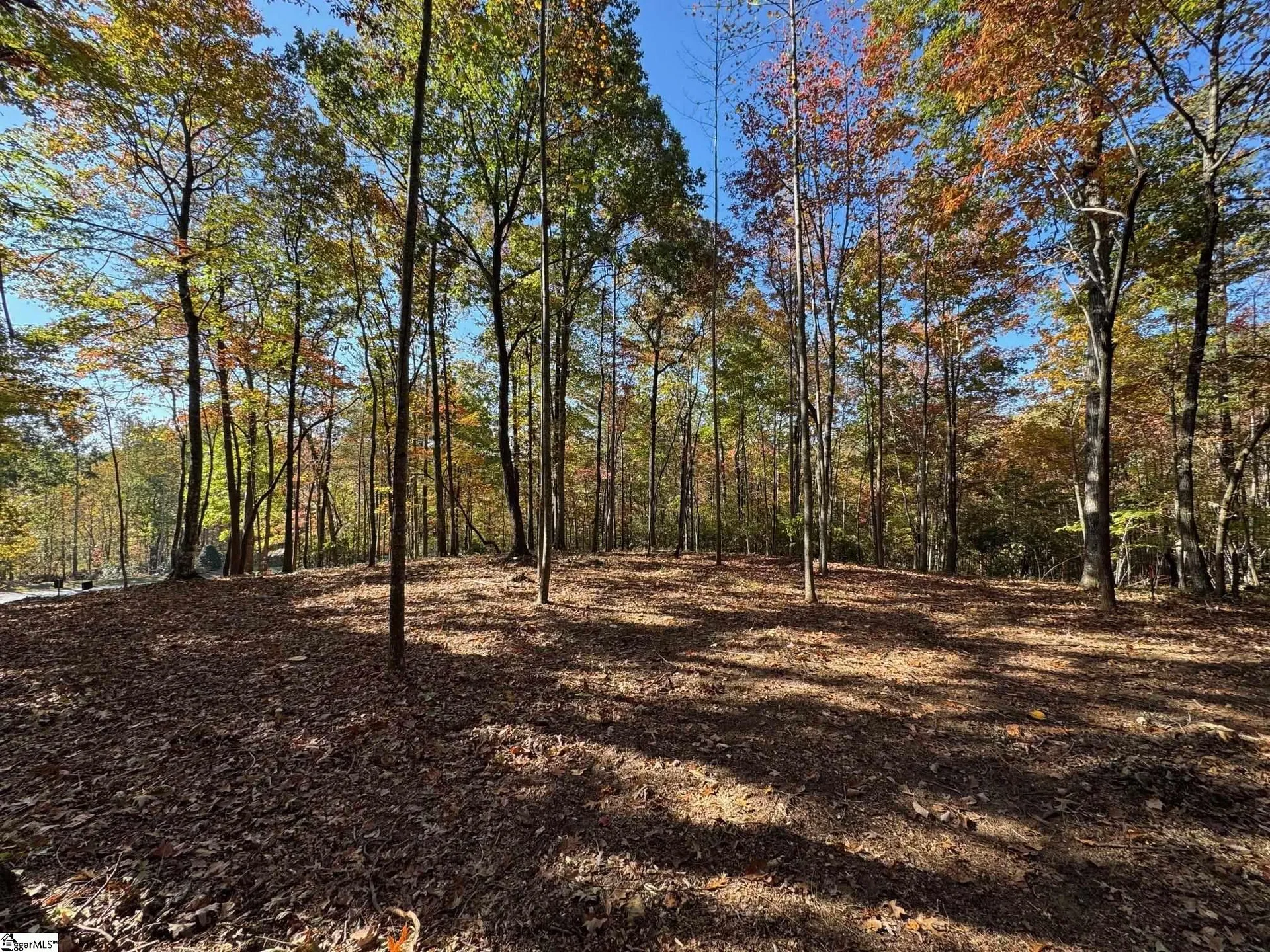 Property image 2 at 45 Darting Sparrow Way, Marietta, SC 29661