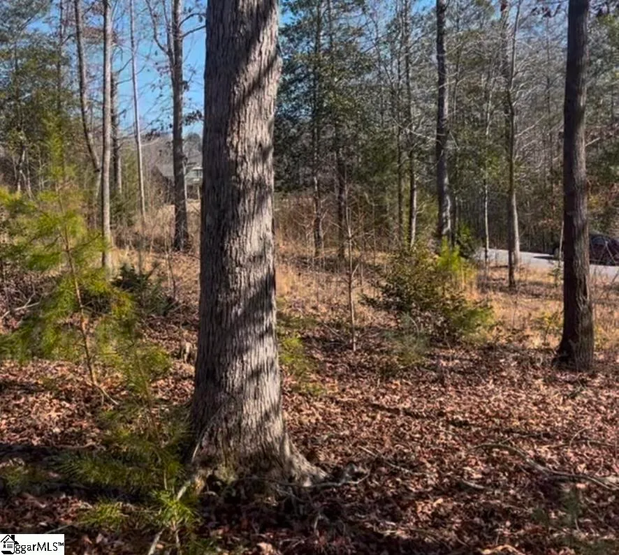 Property image 4 at 0 Meadow View Drive, Marietta, SC 29661-9661