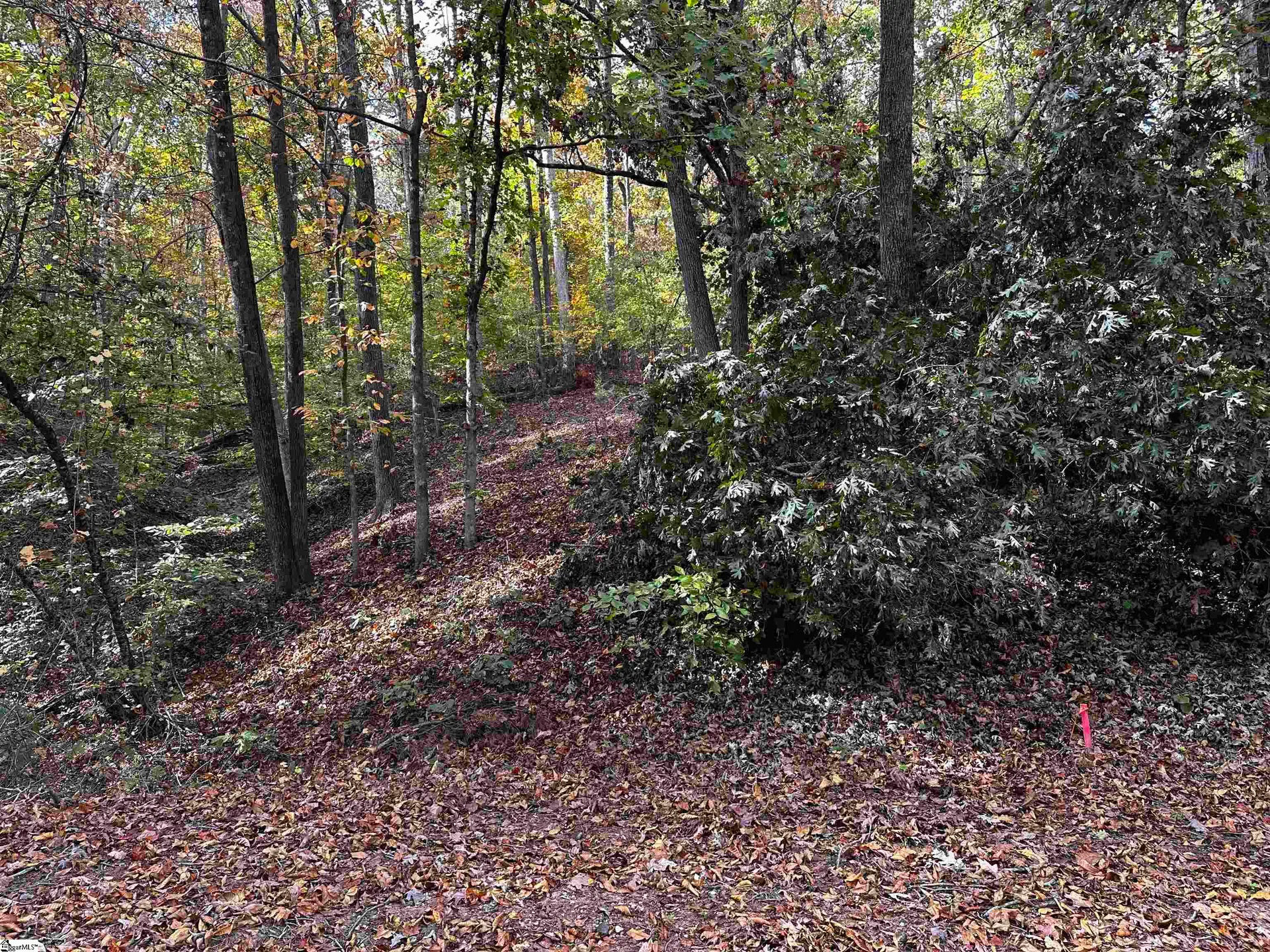 Property image 4 at 402 404 Hickory Trail, Westminster, SC 29693