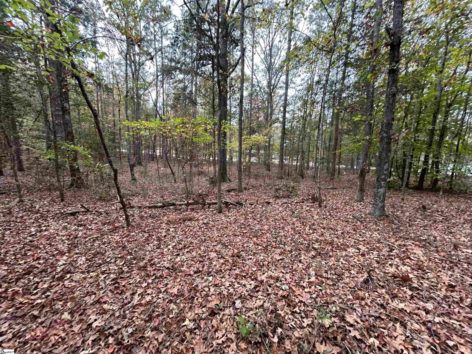 Property image 2 at 717 Nash Mill Road, Fountain Inn, SC 29644