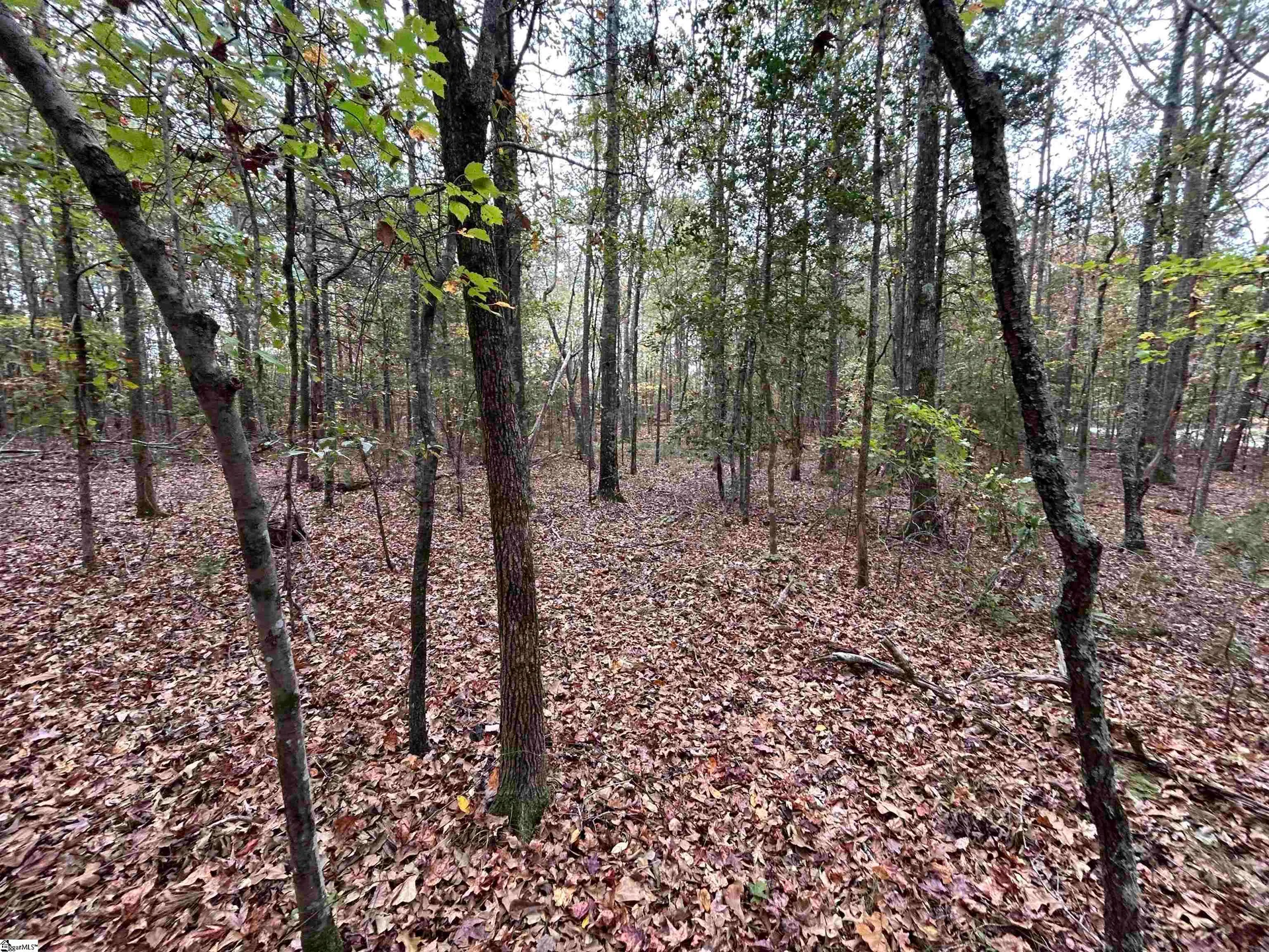 Property image 3 at 717 Nash Mill Road, Fountain Inn, SC 29644