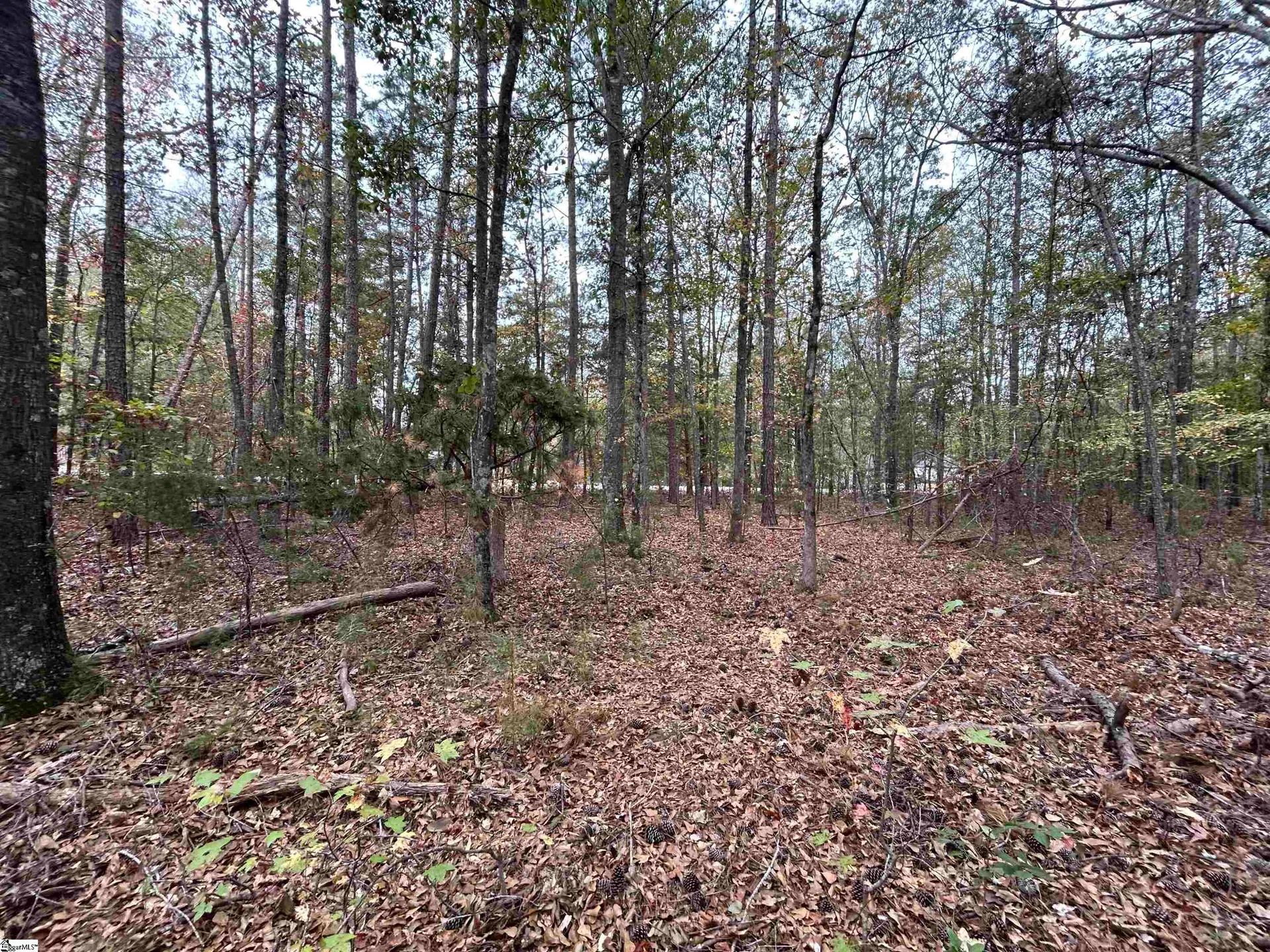 Property image 4 at 717 Nash Mill Road, Fountain Inn, SC 29644