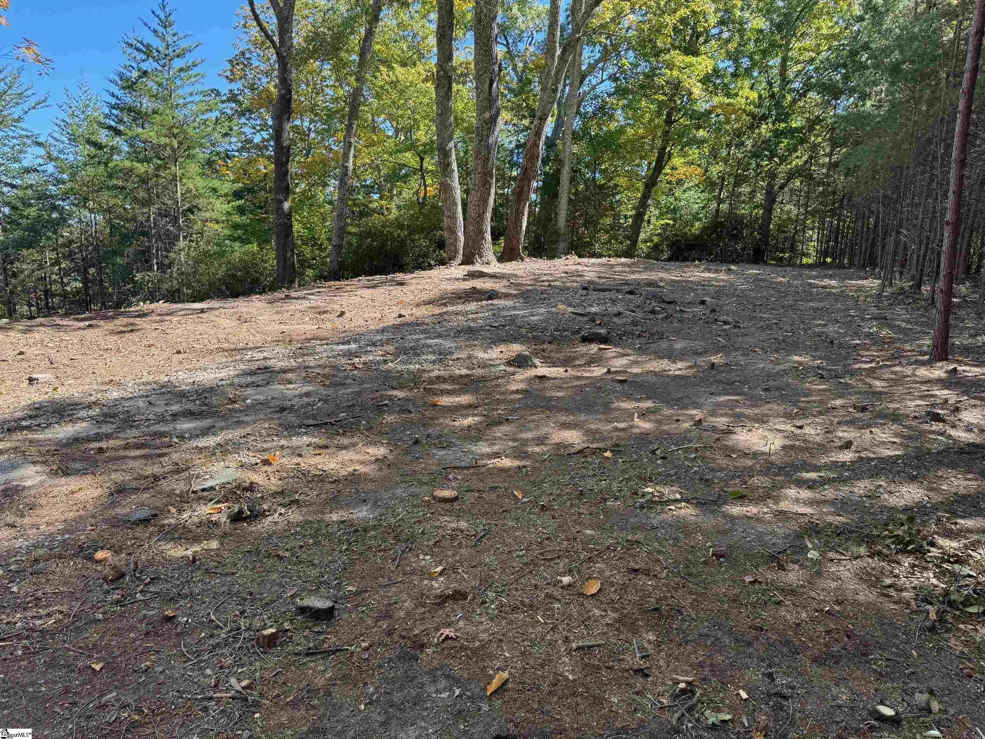 Property image 3 at 112 Ridge Pass Way, Landrum, SC 29356