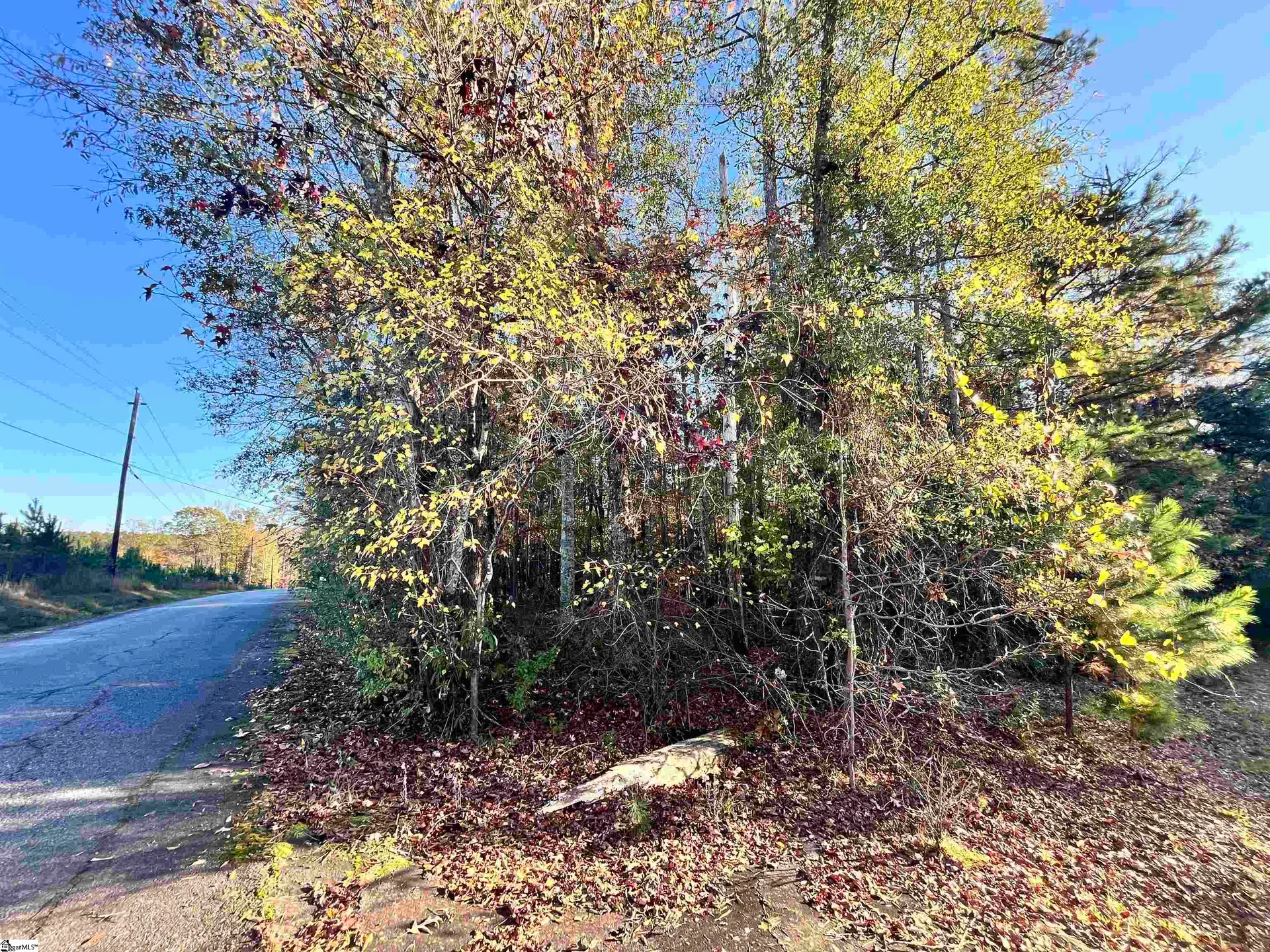 Property image 4 at 630 Rice Park Drive, Anderson, SC 29621