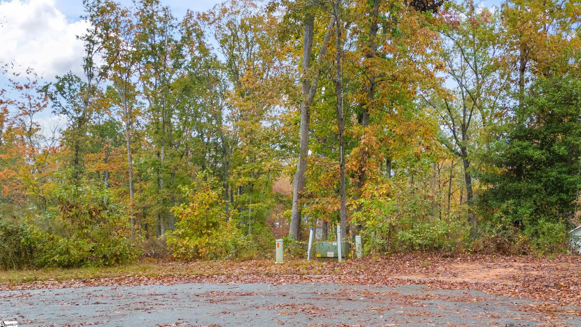 Property image 3 at 133 Falling Leaf Drive, Townville, SC 29689
