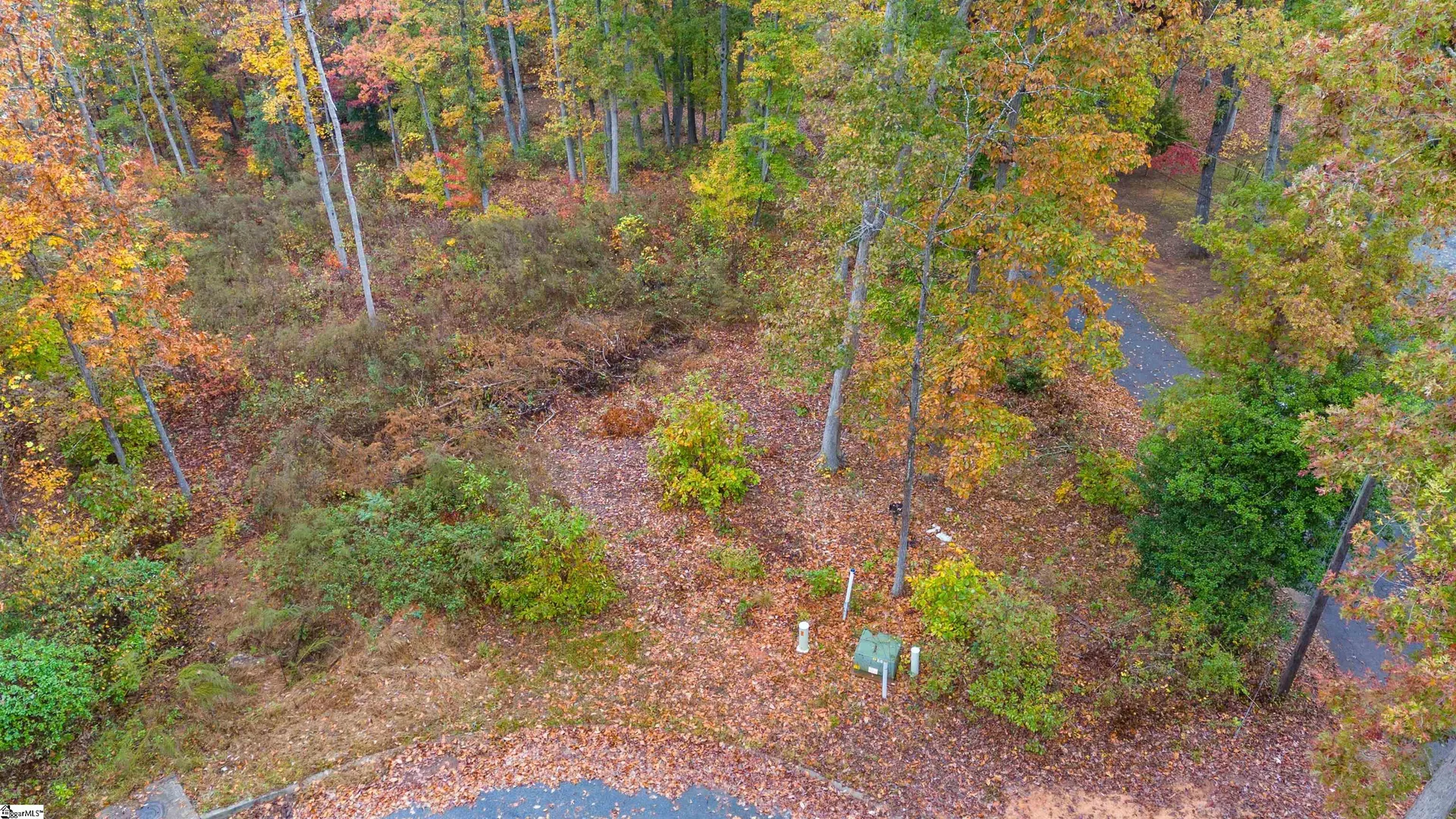 Property image 4 at 133 Falling Leaf Drive, Townville, SC 29689