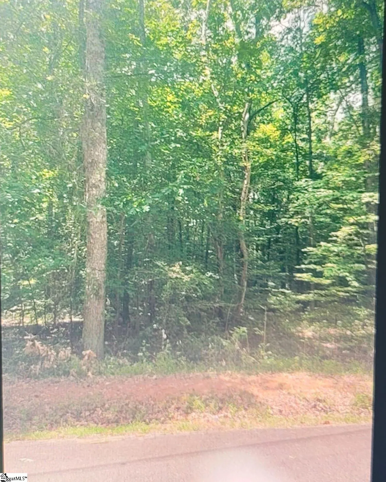 Property image 2 at 0 Manhattan Boulevard, Piedmont, SC 29763