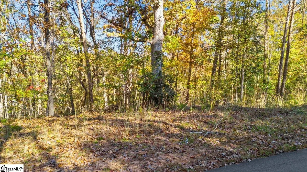 Property image 3 at 135 Choestoea Road, Westminster, SC 29693