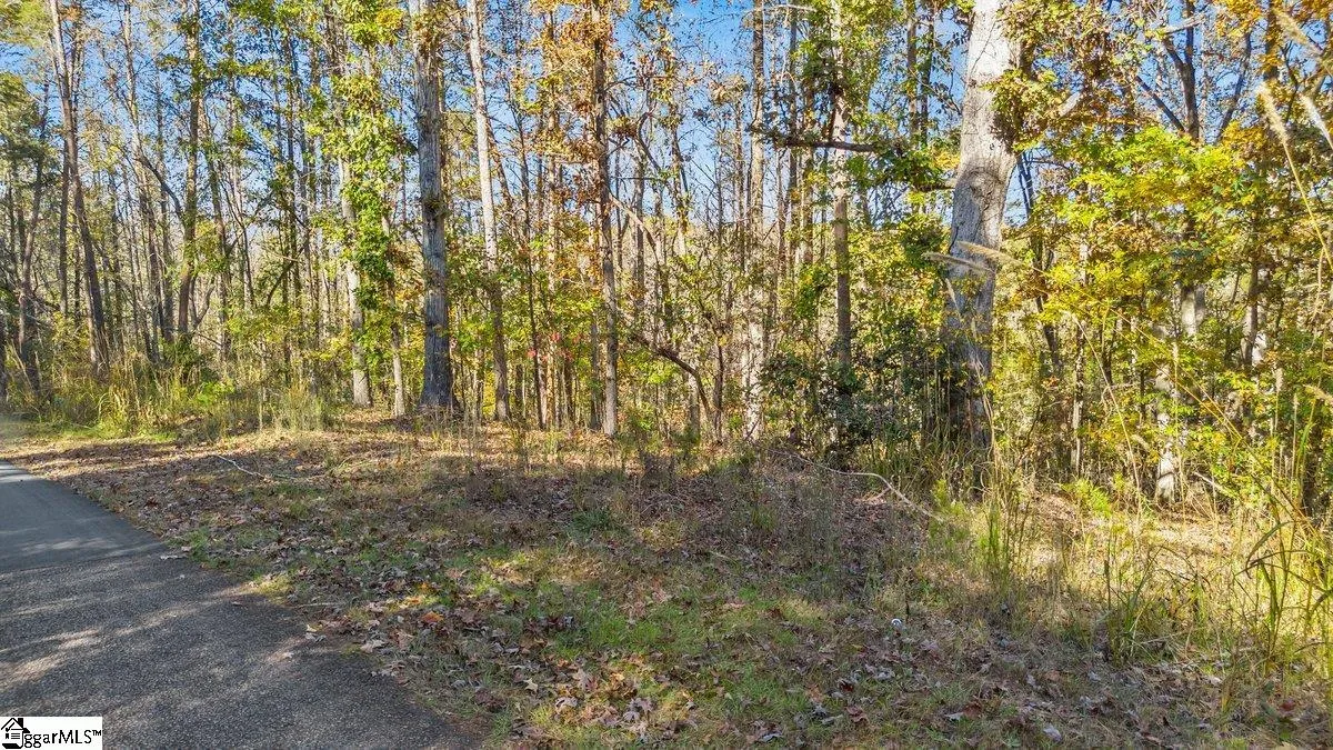 Property image 4 at 135 Choestoea Road, Westminster, SC 29693