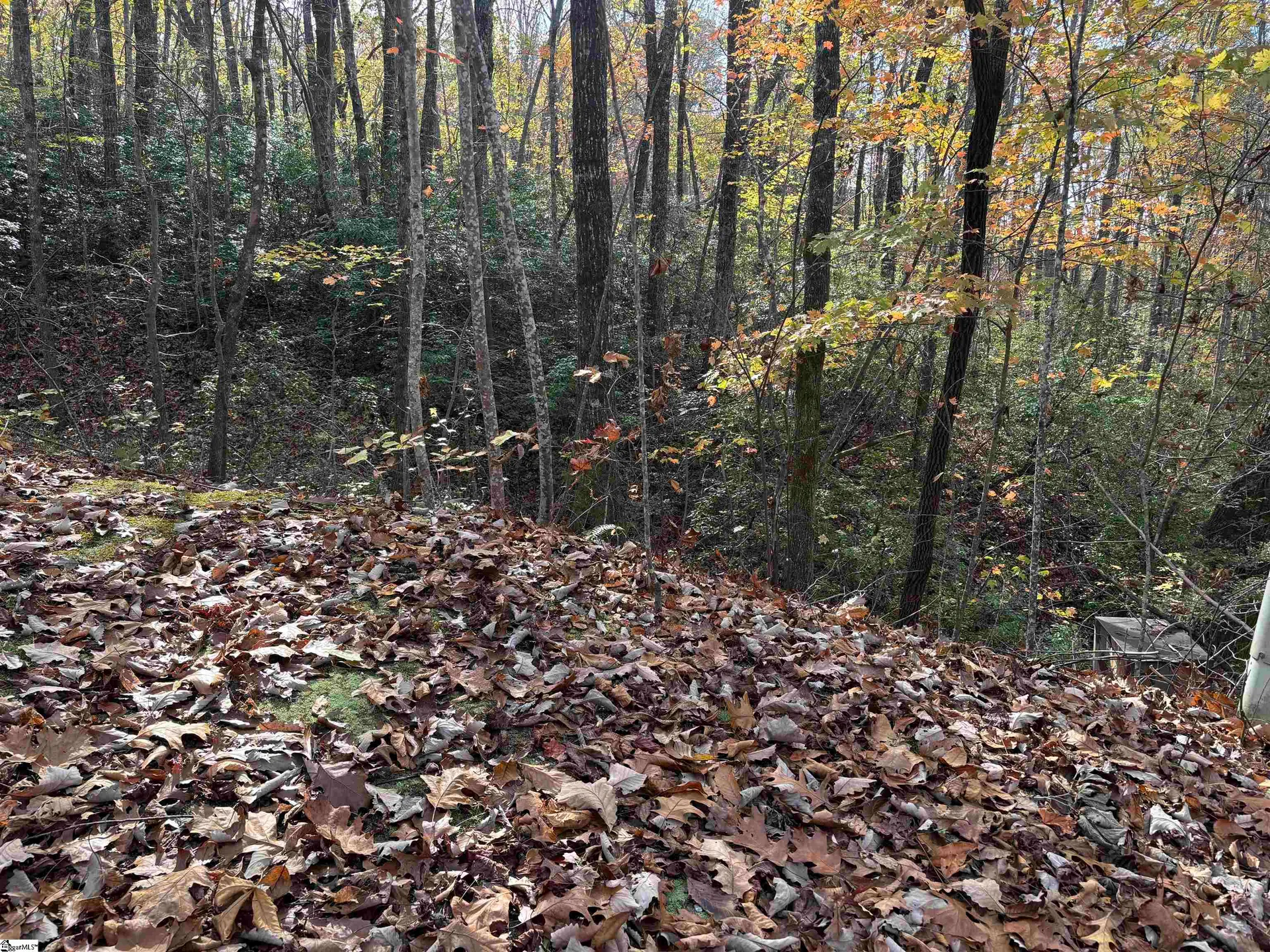 Property image 2 at 43 Alsace Way, Travelers Rest, SC 29690